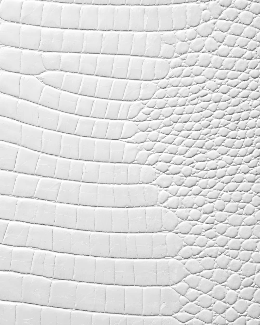 White Croc Leather Print Notebook: for Notes, Journaling, and Writing (Glossy Edition)