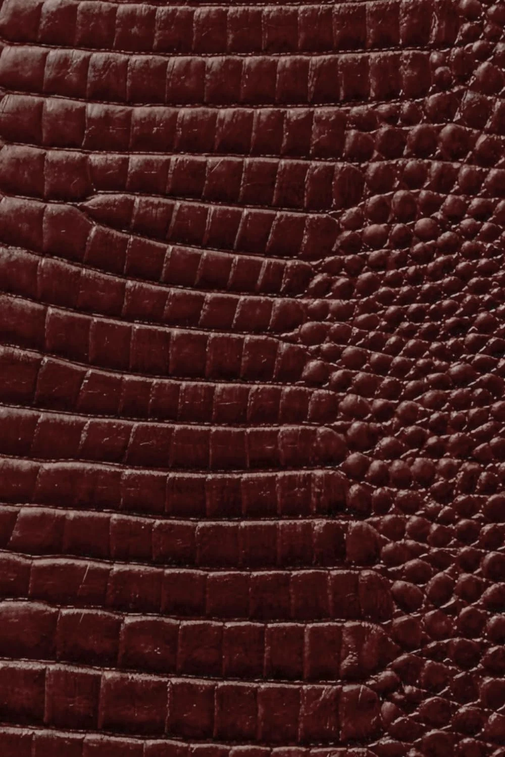Luxx Notebook: for Notes, Journaling, and Writing (Glossy Brown Croc Edition) 
