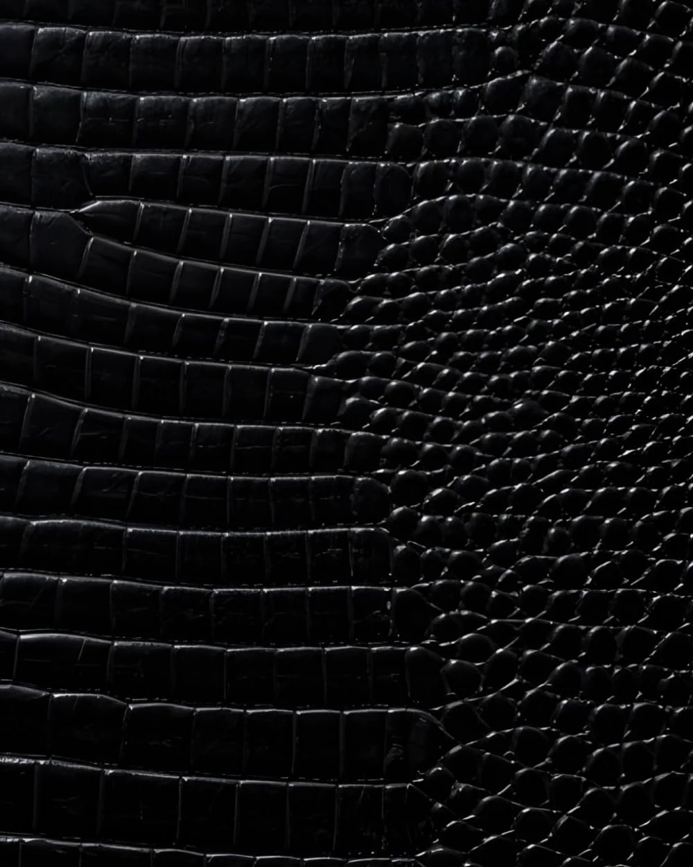Black Croc Leather Print Notebook: for Notes, Journaling, and Writing (Glossy Edition)
