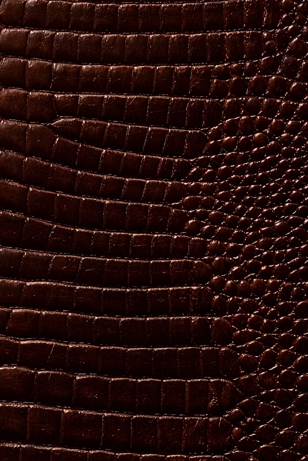 Luxx Notebook: for Notes, Journaling, and Writing (Espresso Croc Edition)