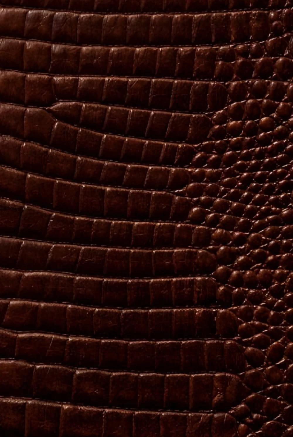 Luxx 2026 Planner: Vision Planning, Important Dates, and Weekly Structure (Brown Croc Print Edition)