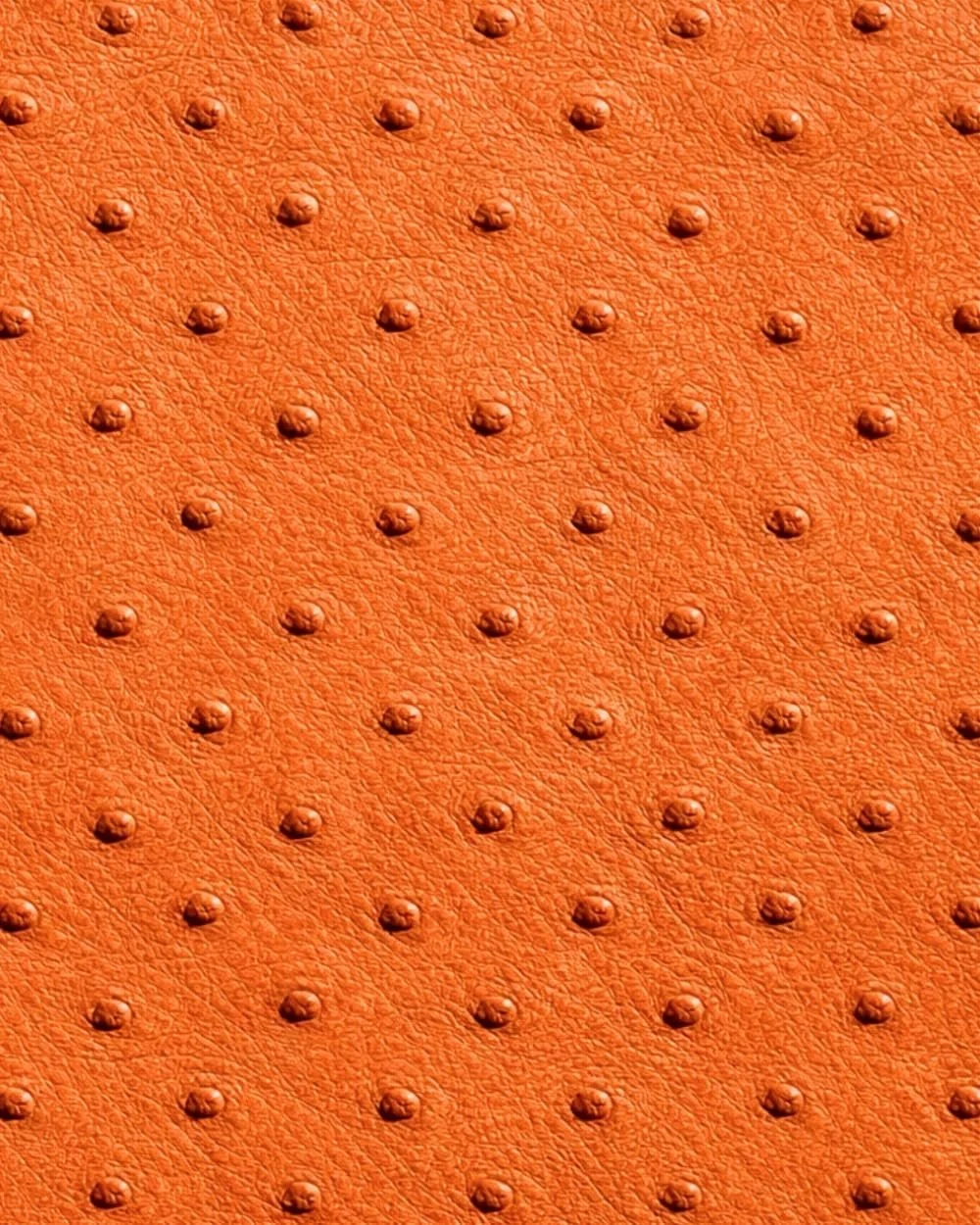 Orange Ostrich Leather Print Notebook: for Notes, Journaling, and Writing