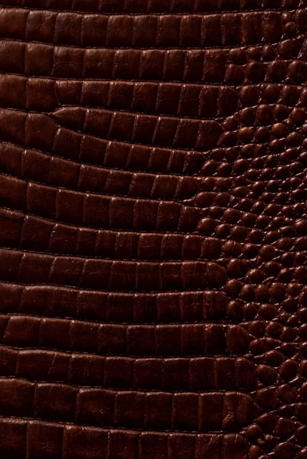 Brown Croc Leather Print Notebook: for Notes, Journaling, and Writing (Glossy Edition)