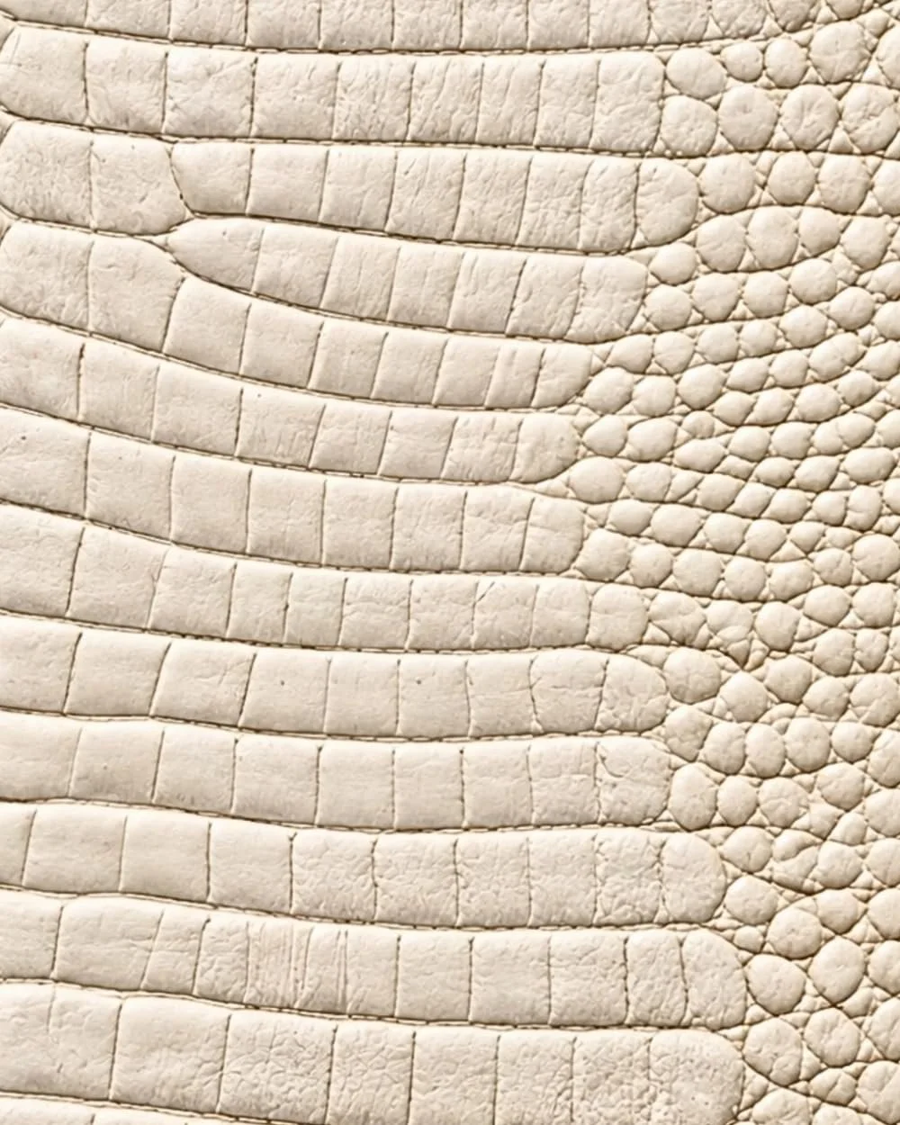 Ivory Croc Leather Print Notebook: for Notes, Journaling, & Writing