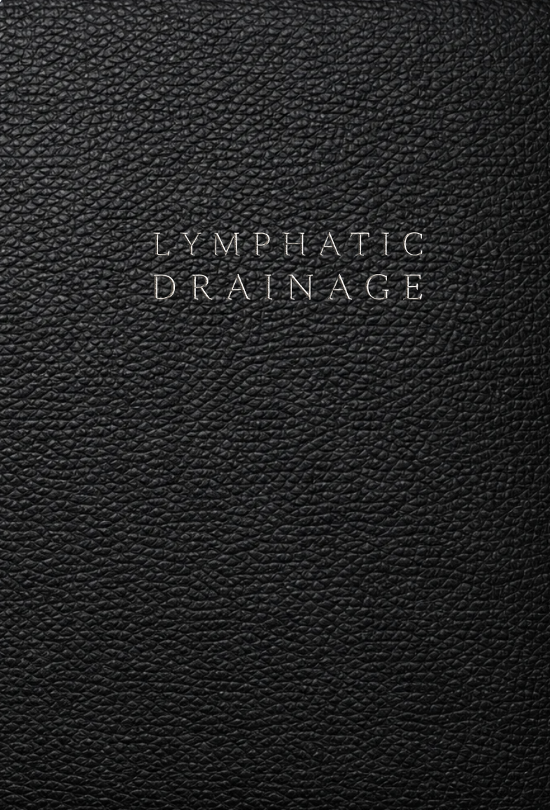 Lymphatic Drainage Massage Therapist Notebook: A Documentation System for Client Information, Lymphatic Assessment, Treatment Planning, Body Mapping and Follow Up Care