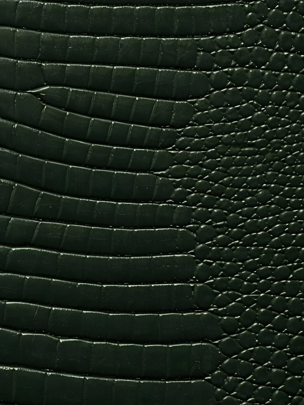 Green Croc Leather Print Notebook: for Notes, Journaling and Writing