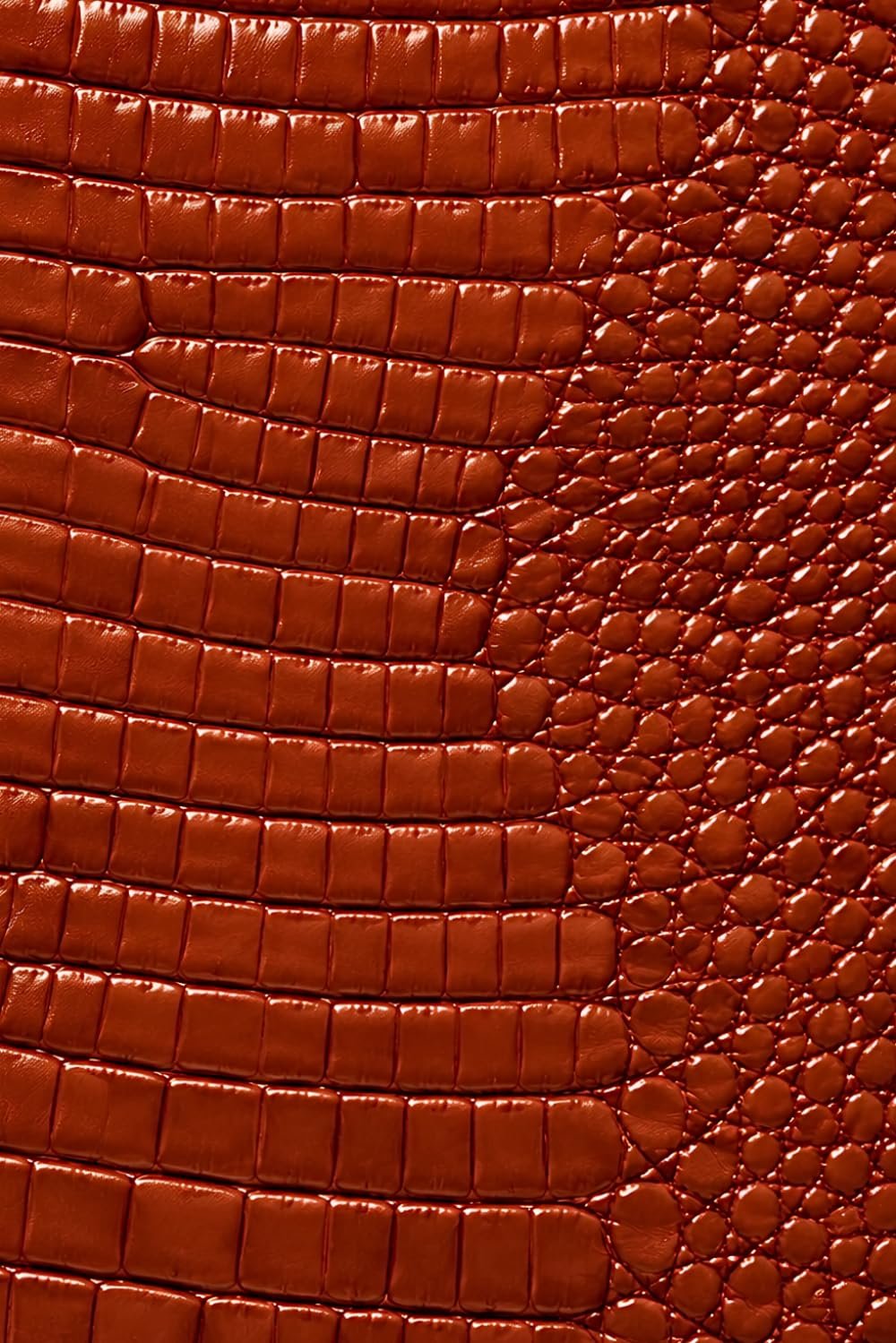 Luxx Notebook: for Notes, Journaling, and Writing (Glossy Copper Croc Edition)