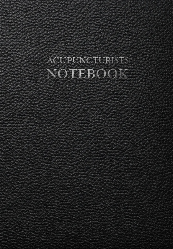 Acupuncturists Notebook: A Structured Clinical Documentation Tool for Traditional Chinese Medicine Practitioners