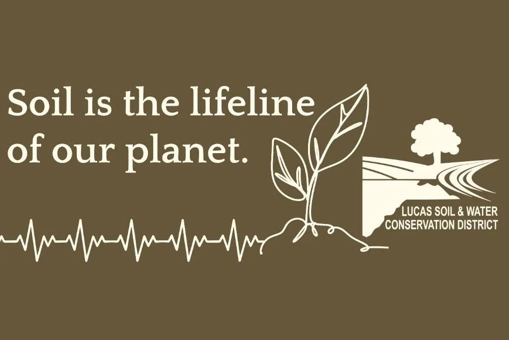 Soil Properties & Web Soil Survey