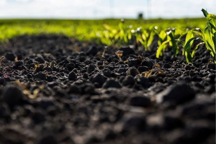 Wood SWCD Soil Week Celebration