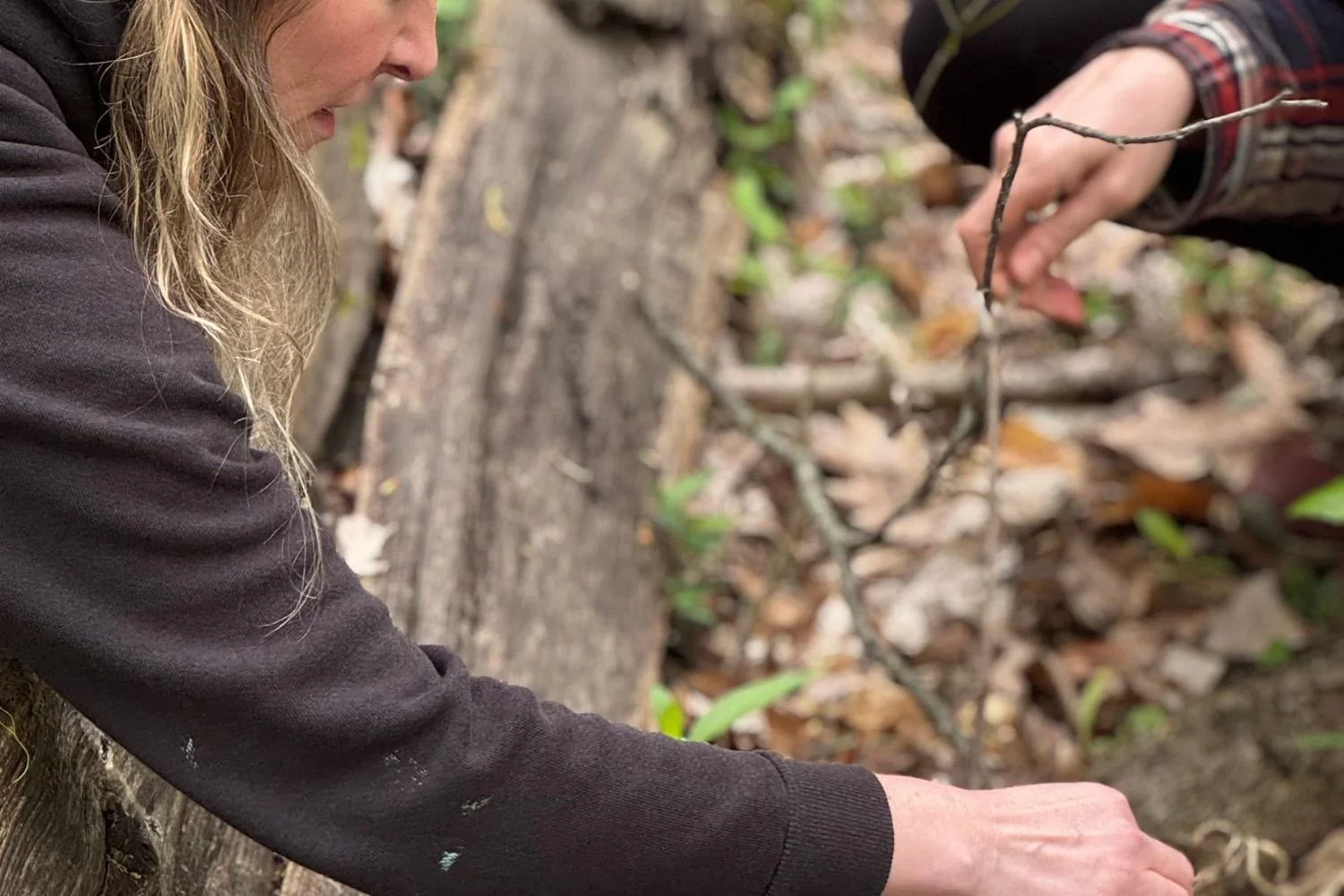 Below the Surface: A Forest Therapy Walk