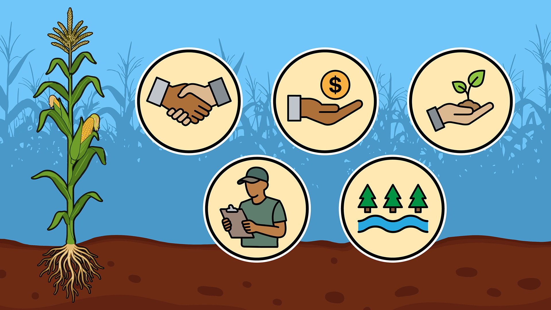 From Carbon Storage to Nutrient Reduction: New Models for Soil Health Incentives