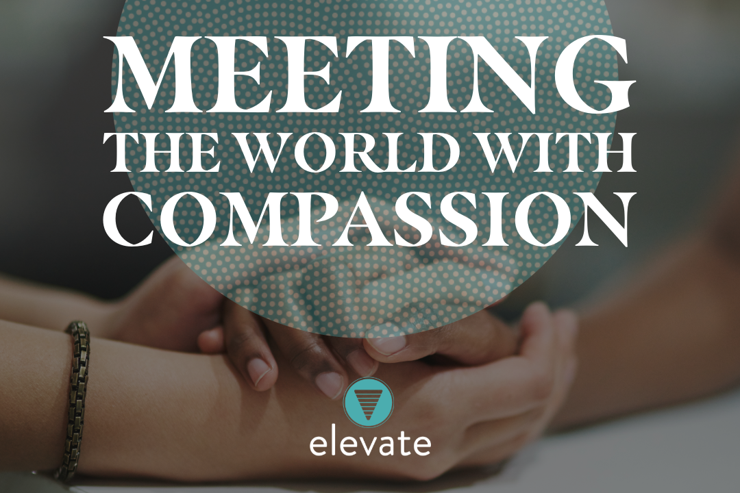 Meeting the World with Compassion