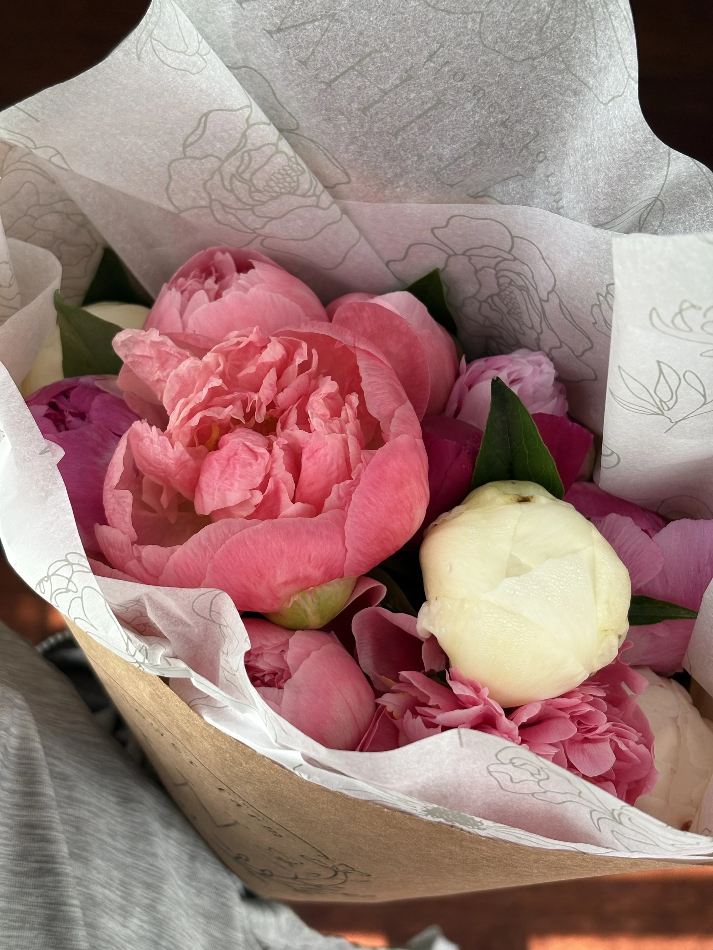 peony 2.jpeg