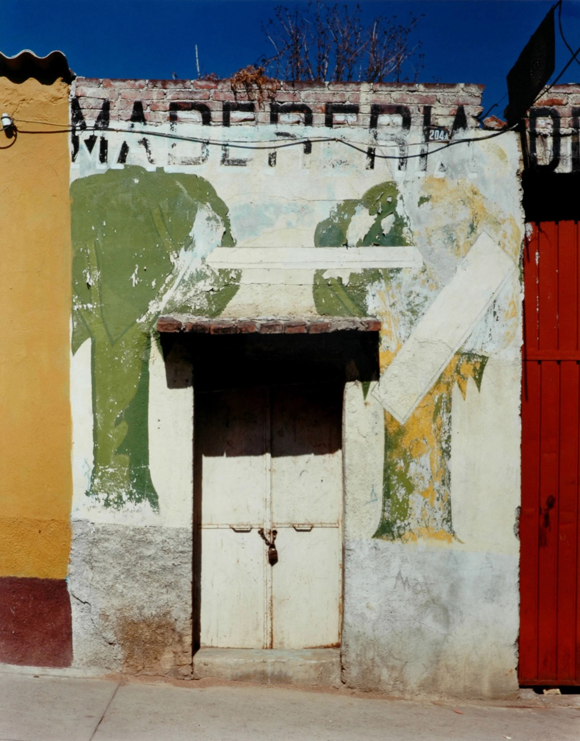 Oaxaca Trees.jpg