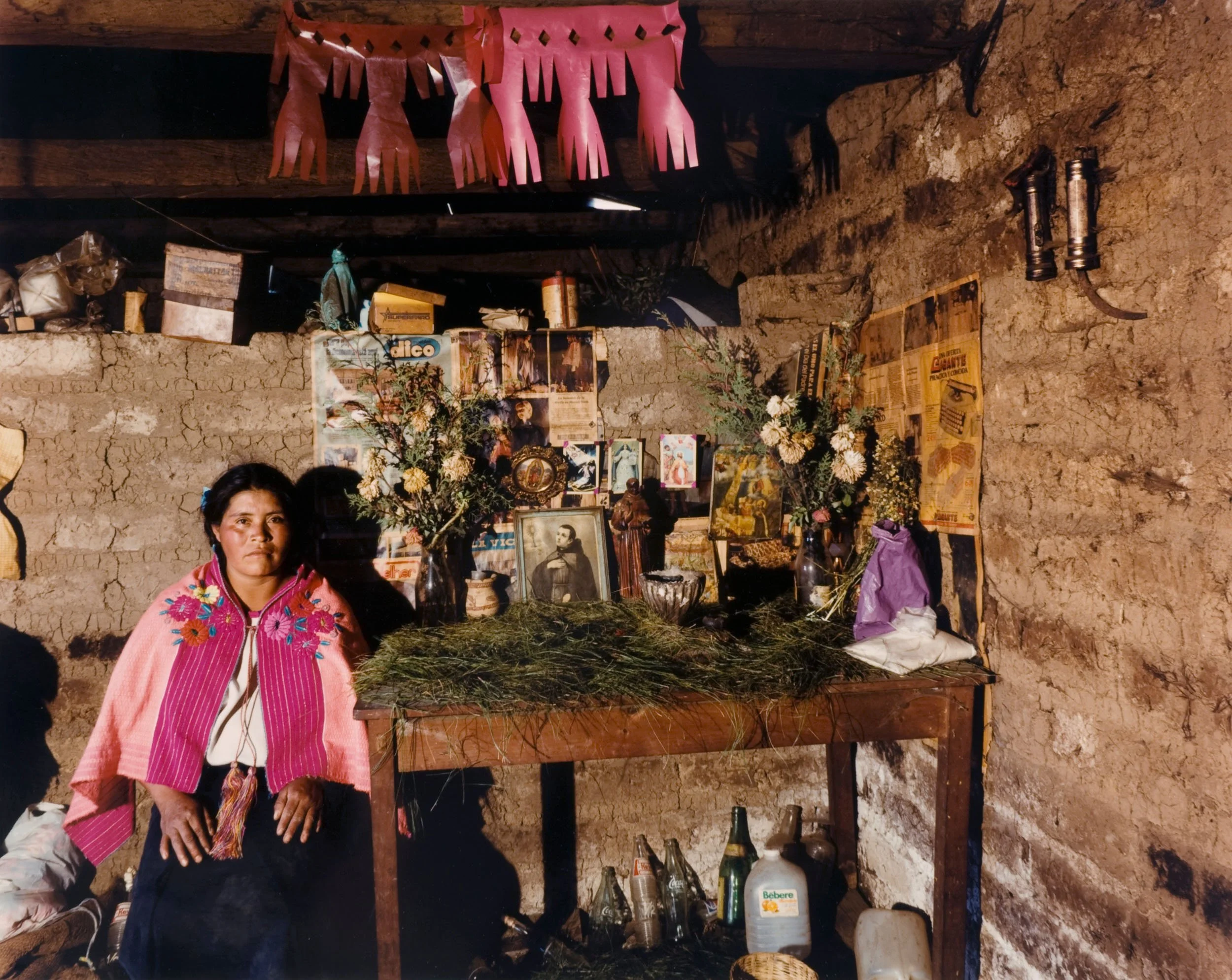 Salvo-Home Altars of Mexico-003.jpg