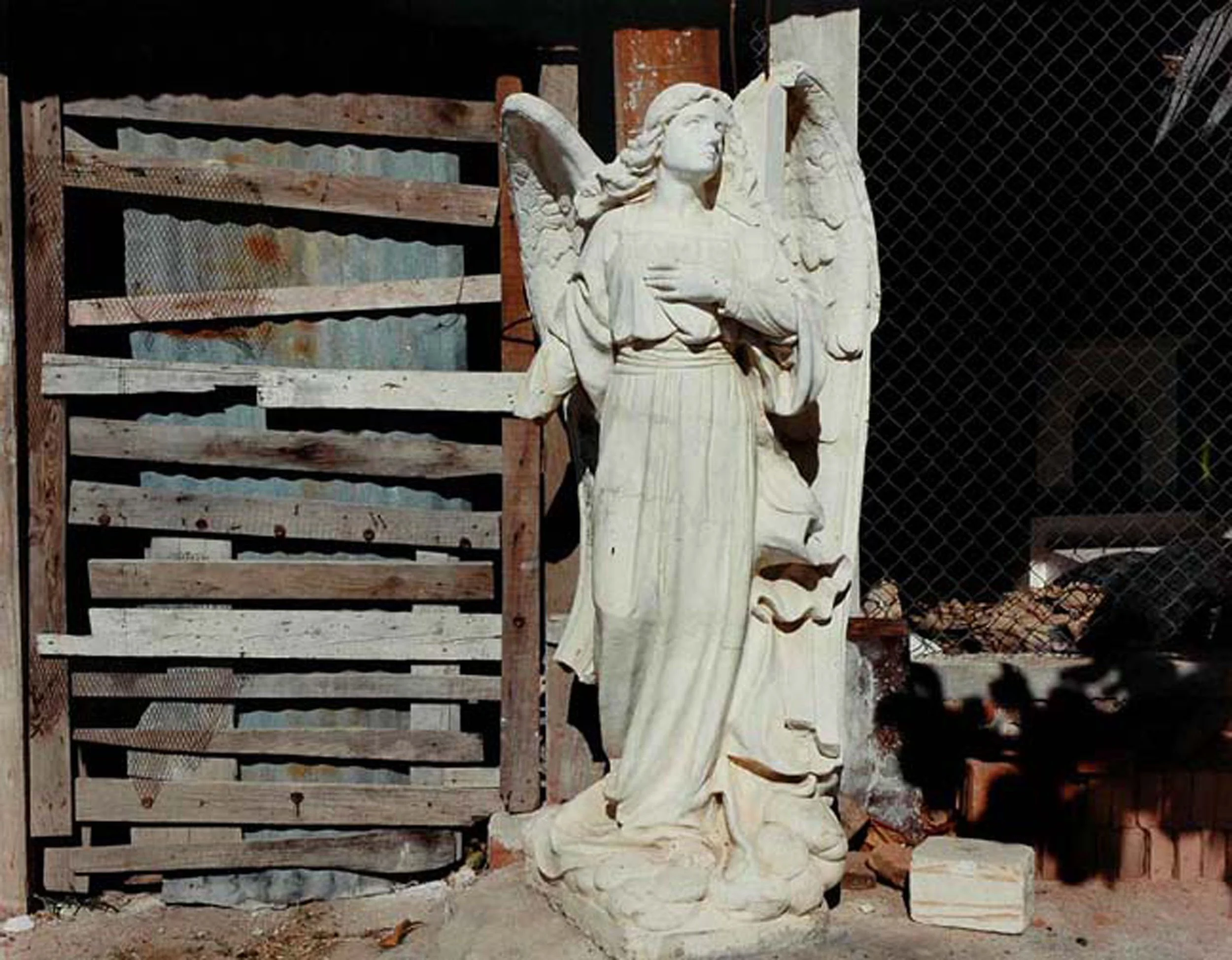  SalvoDOD9.jpg