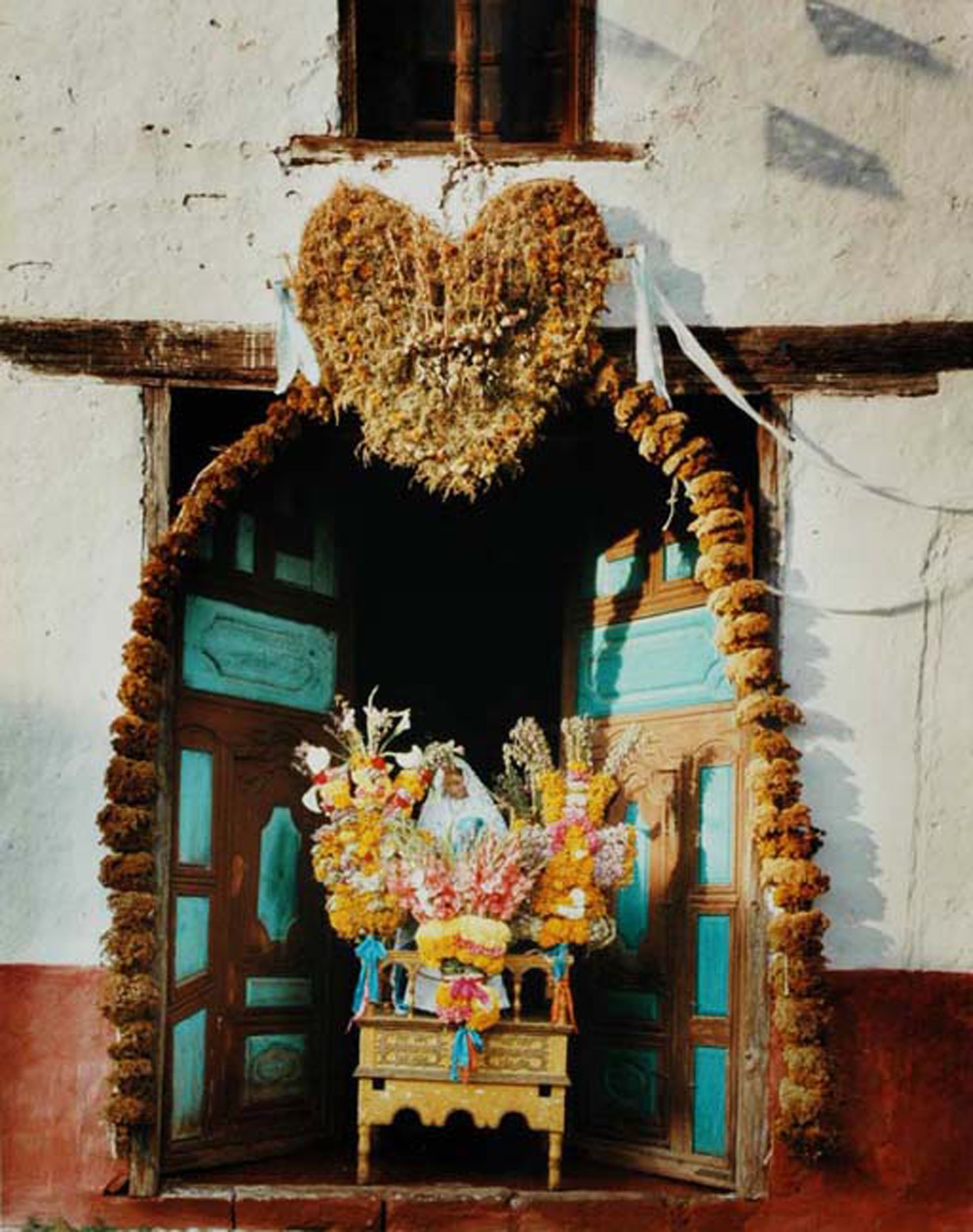  SalvoDOD10 .jpg