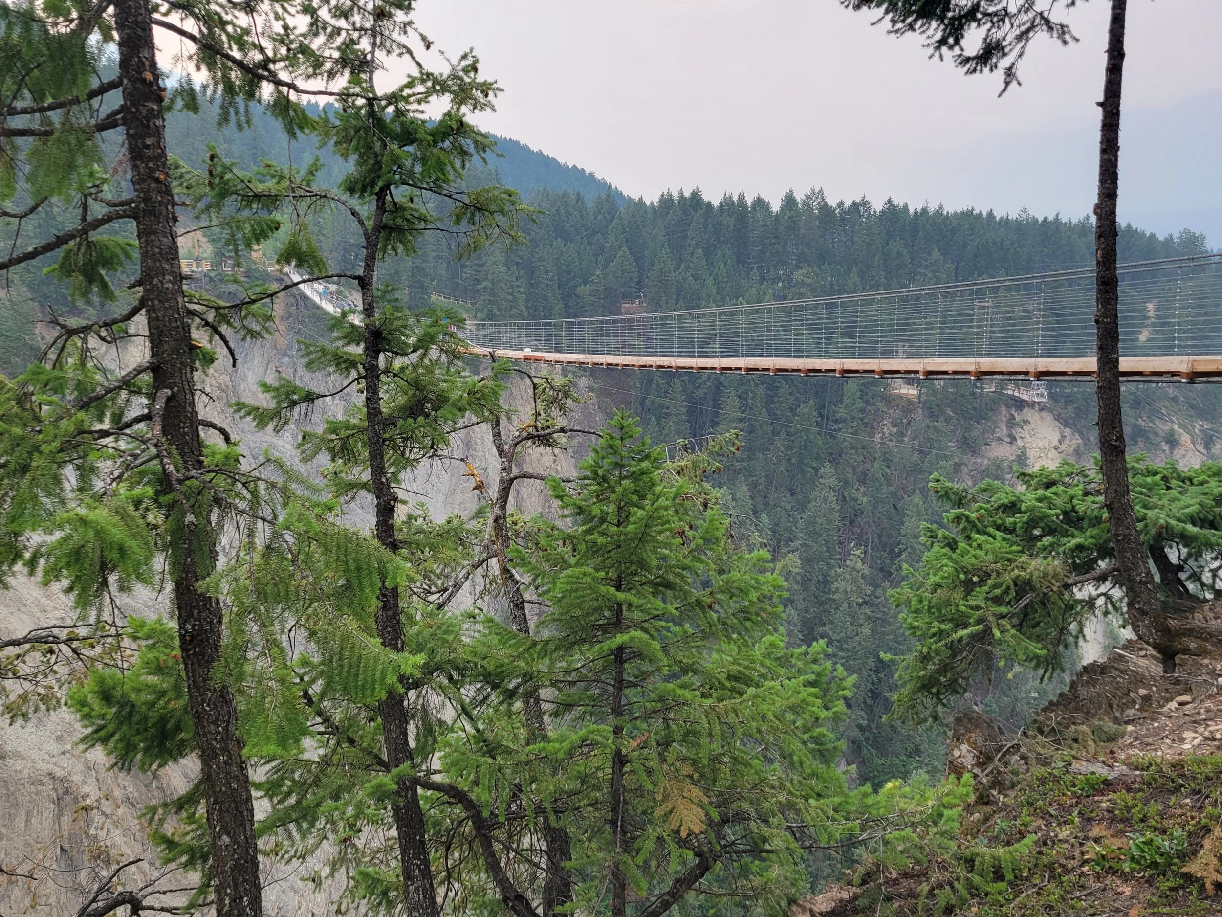 A bridge to new beginnings