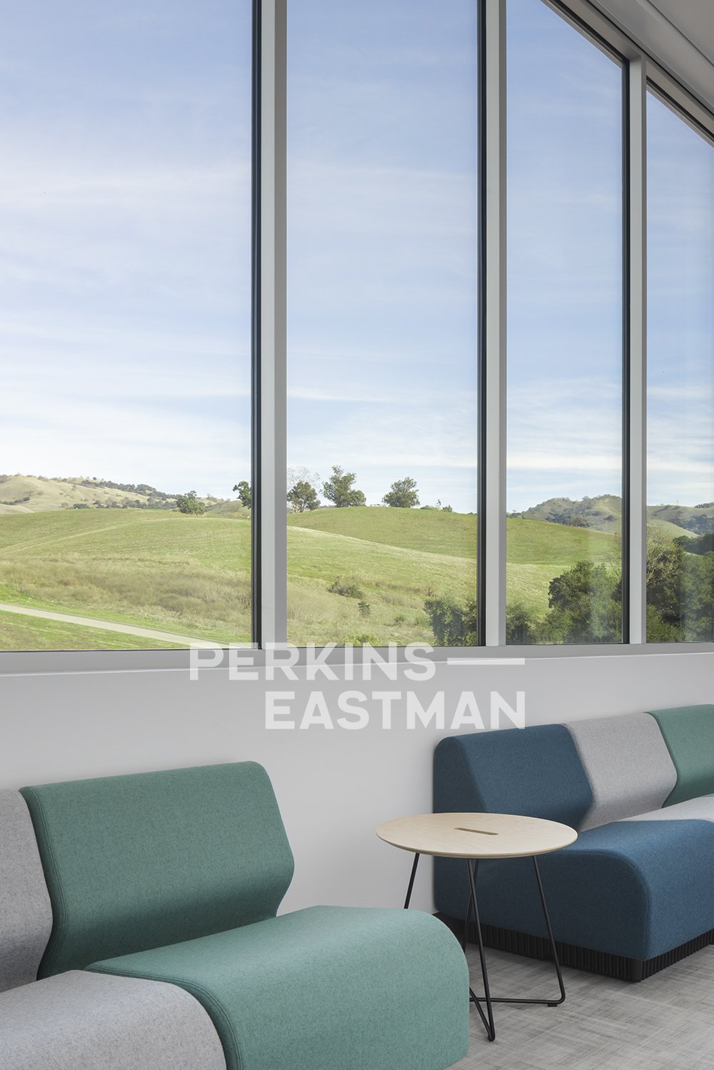 SJE CCD - EVC - Sequoia Nursing_Photo Int Lounge Breakout Detail_Photograph by Andrew Rugge - Copyright Perkins Eastman.jpg