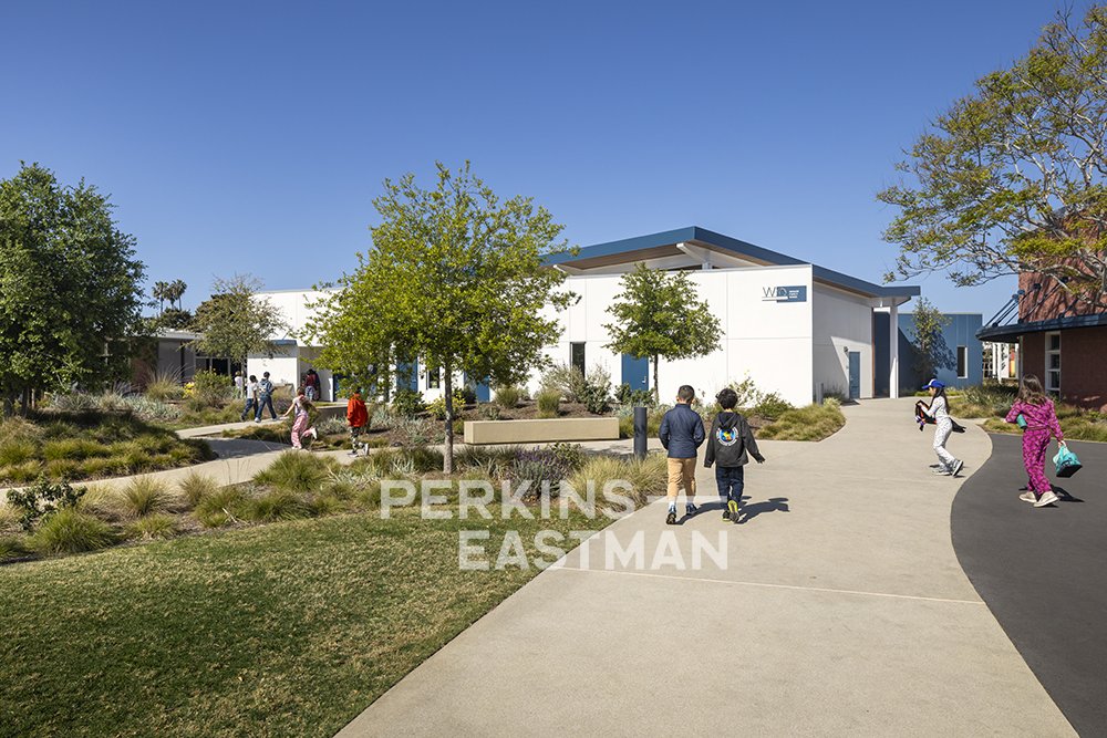 The Pegasus School: Library