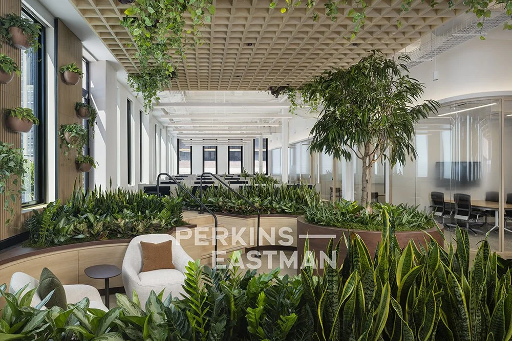 Confidential Asset Mgmt - NYC_Photo Int Tree of Life 2_Photograph by Andrew Rugge - Copyright Perkins Eastman.jpg