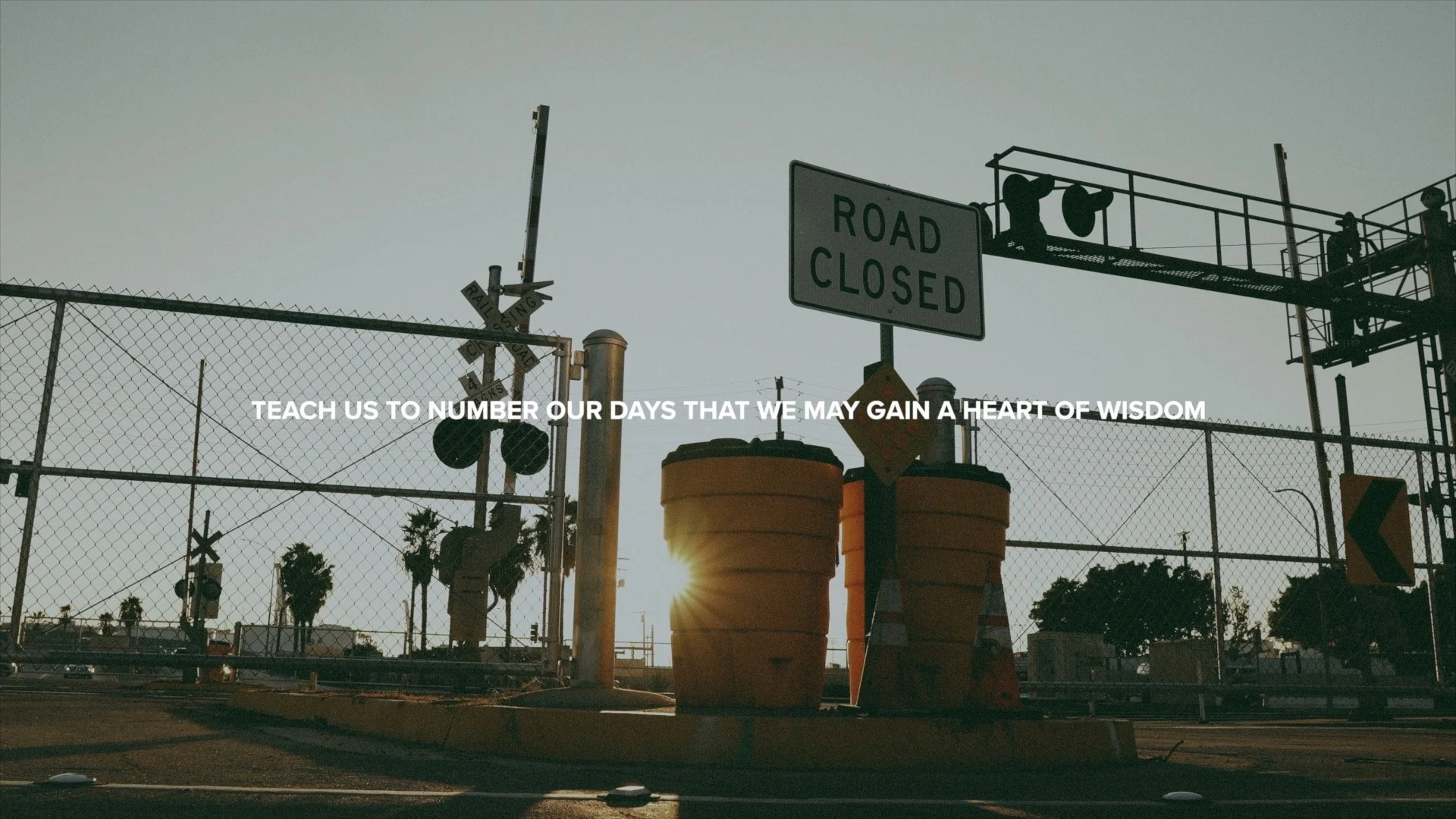 This Is History | Heart Of Wisdom.jpg