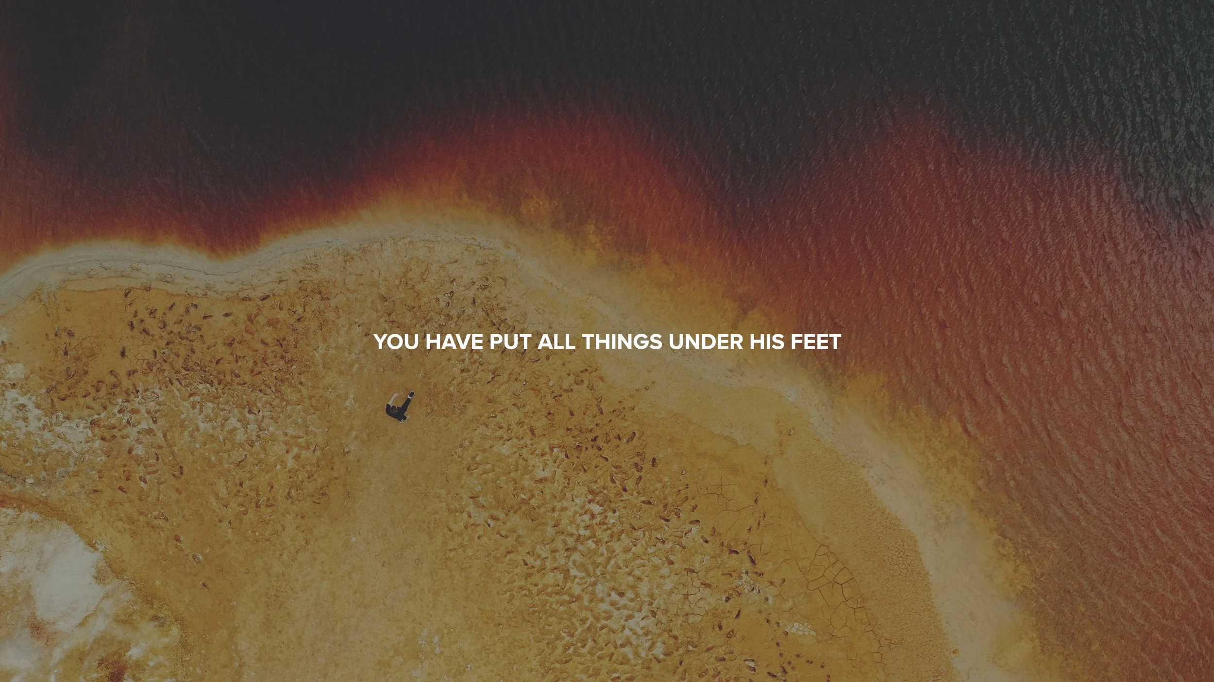 This Is History | Psalm 8.jpg