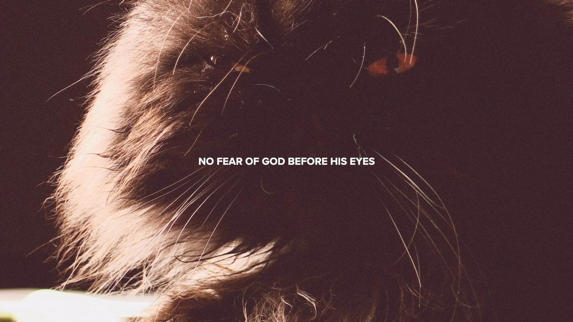 This Is History | Psalm 36.jpg