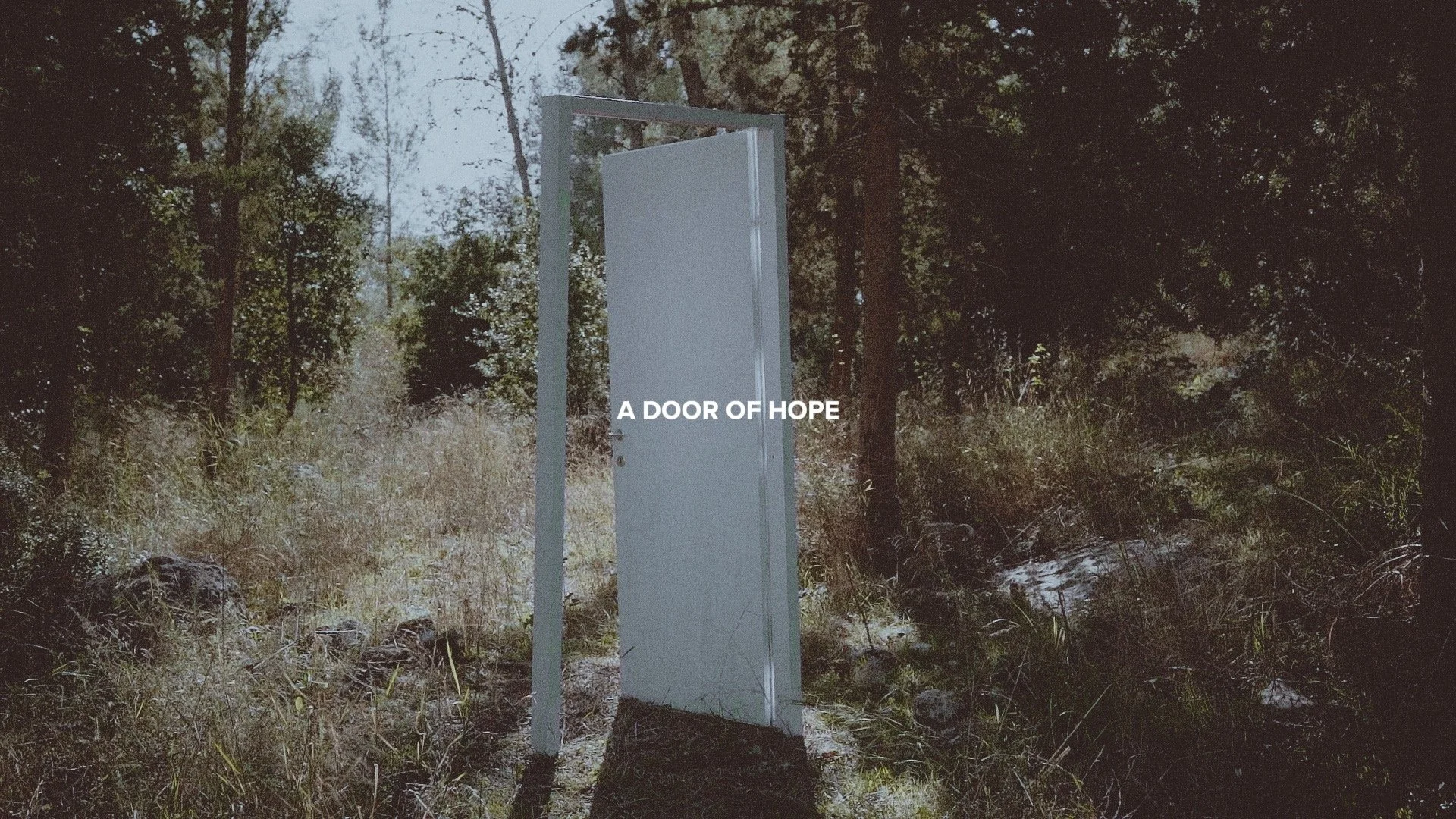 This Is History | Akor.jpg