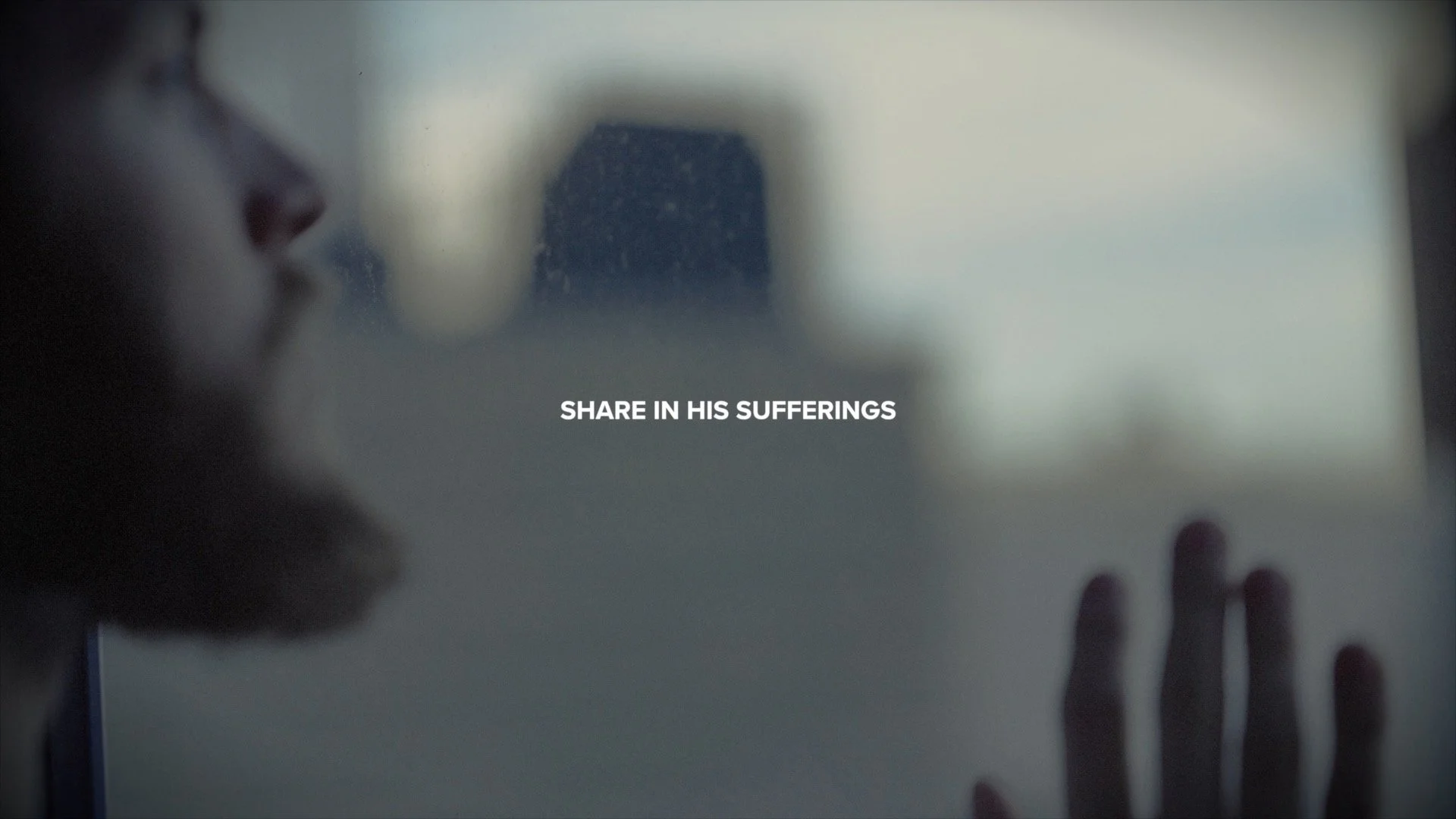 This Is History | Share In Sufferings.jpg