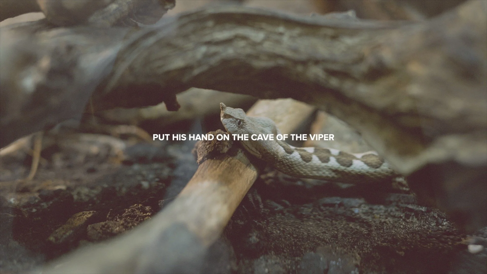 This Is History | In That Day.jpg