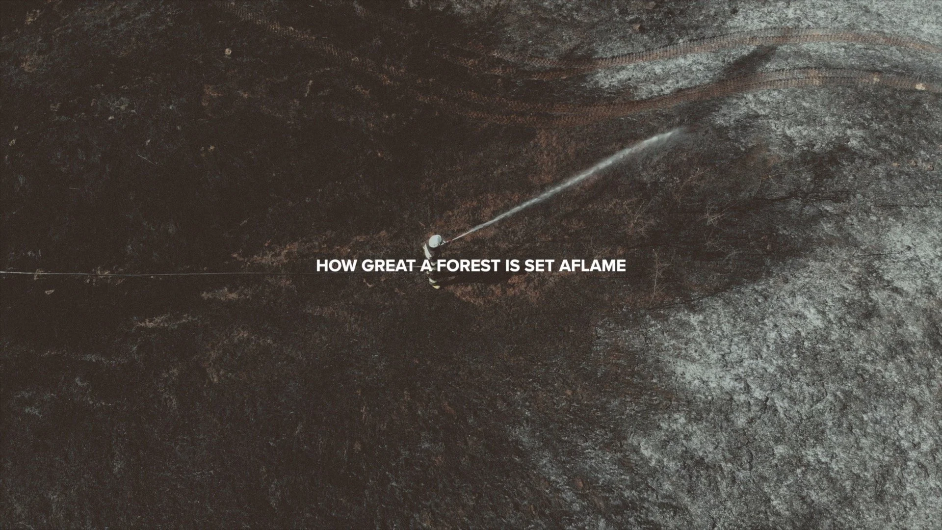 This Is History | The Tongue Is A Fire.jpg