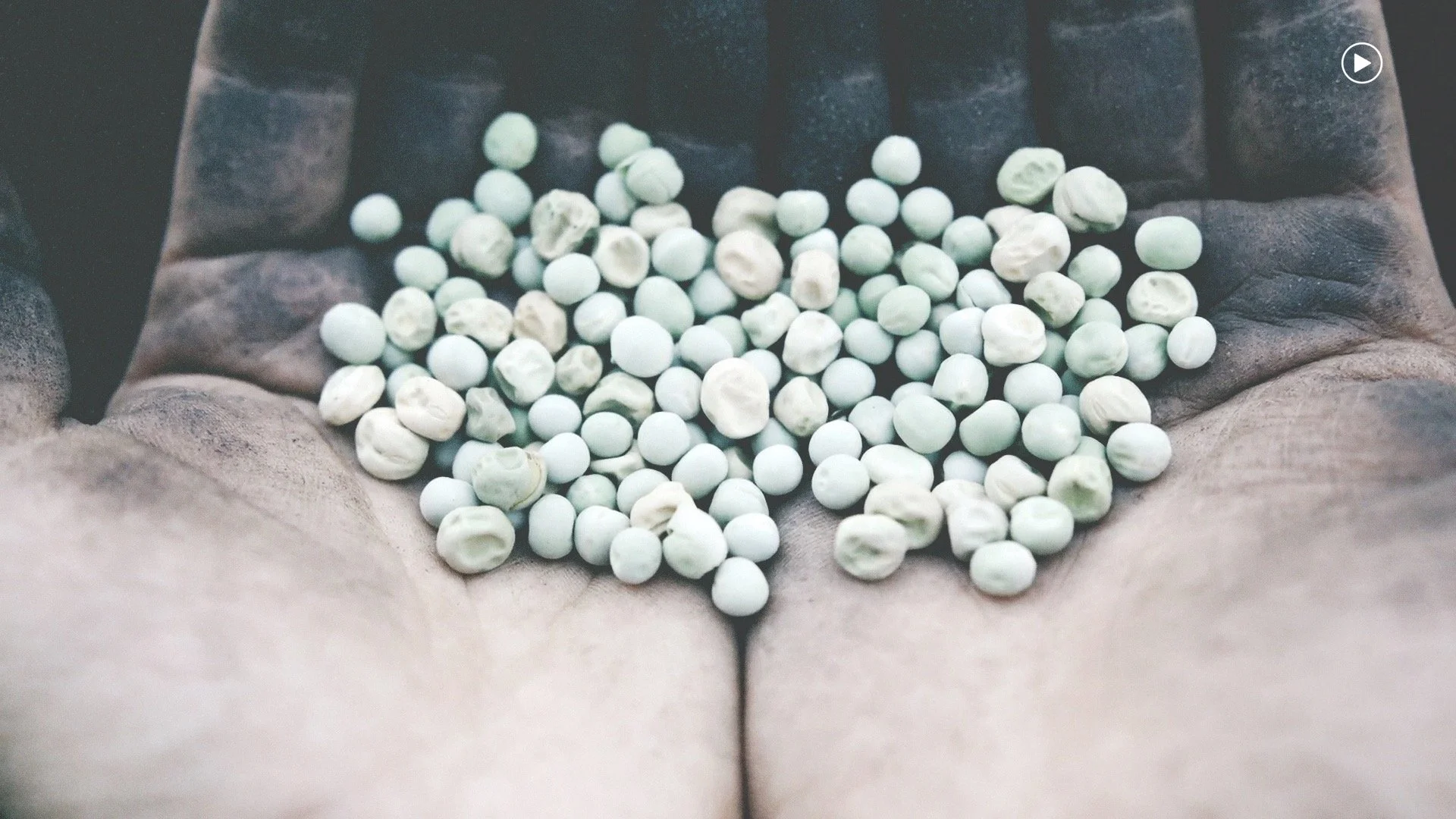 This Is History | Badlands | Look.jpg