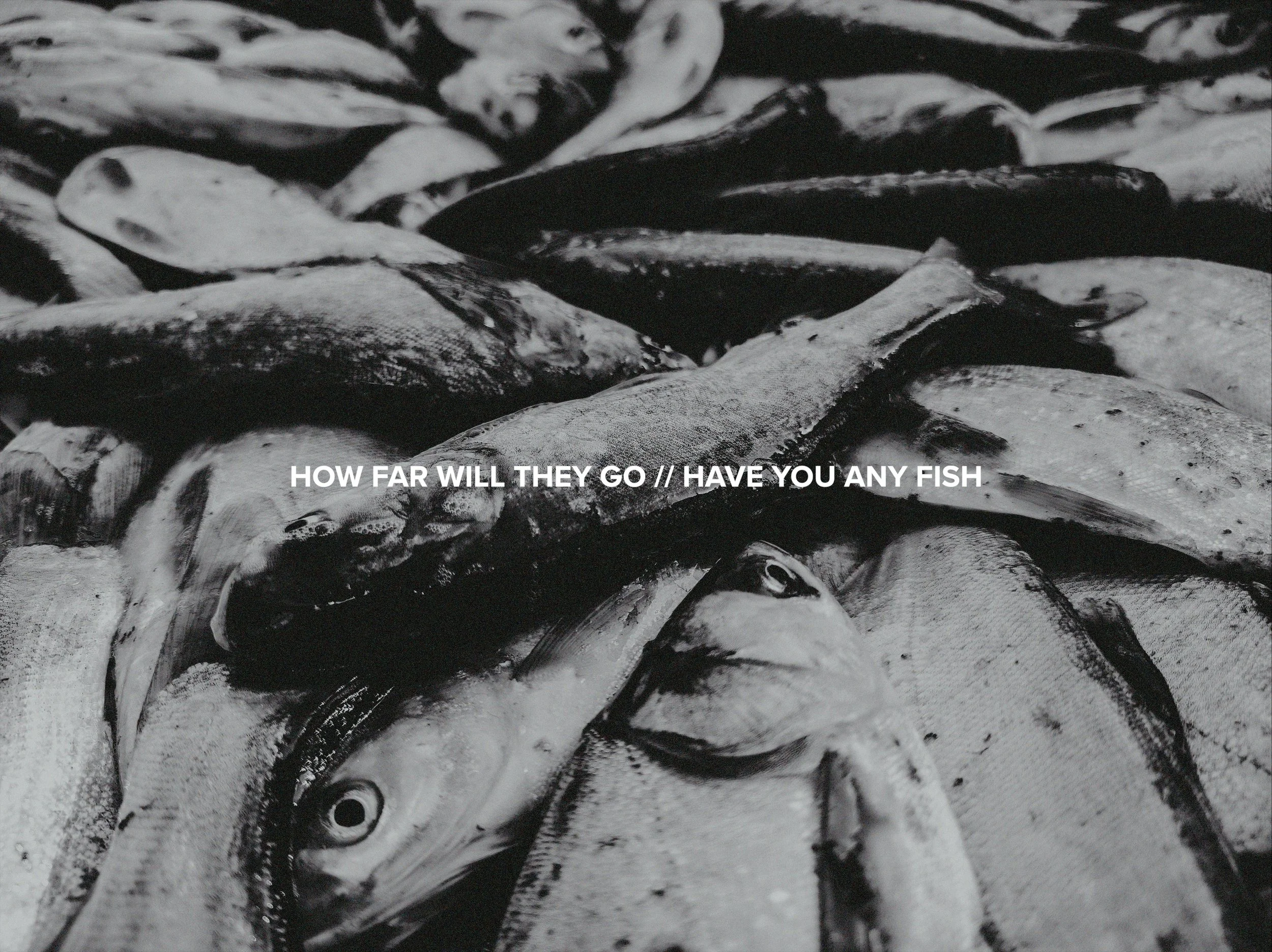 Fish.jpg