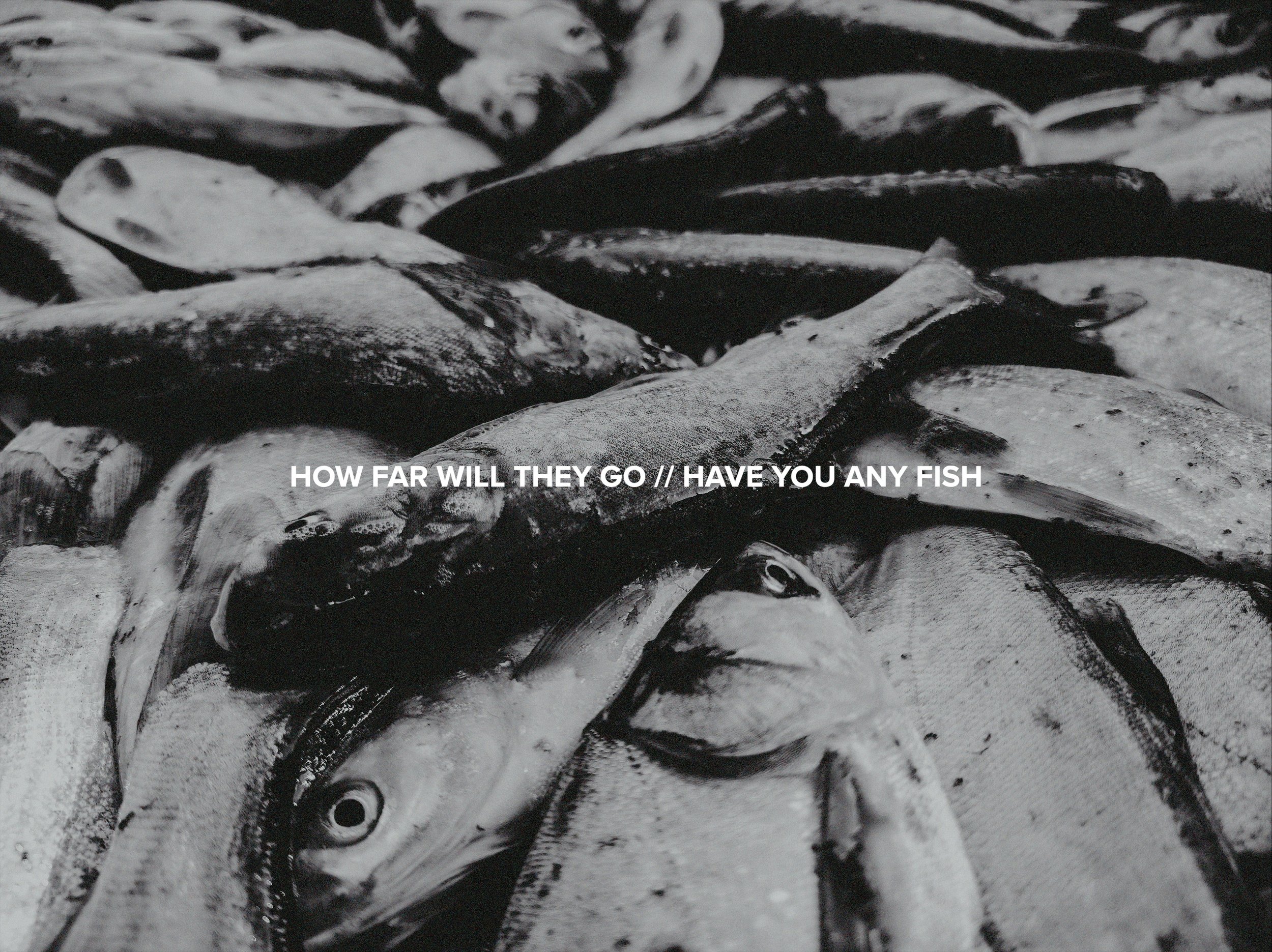 This Is History | Fishing.jpg