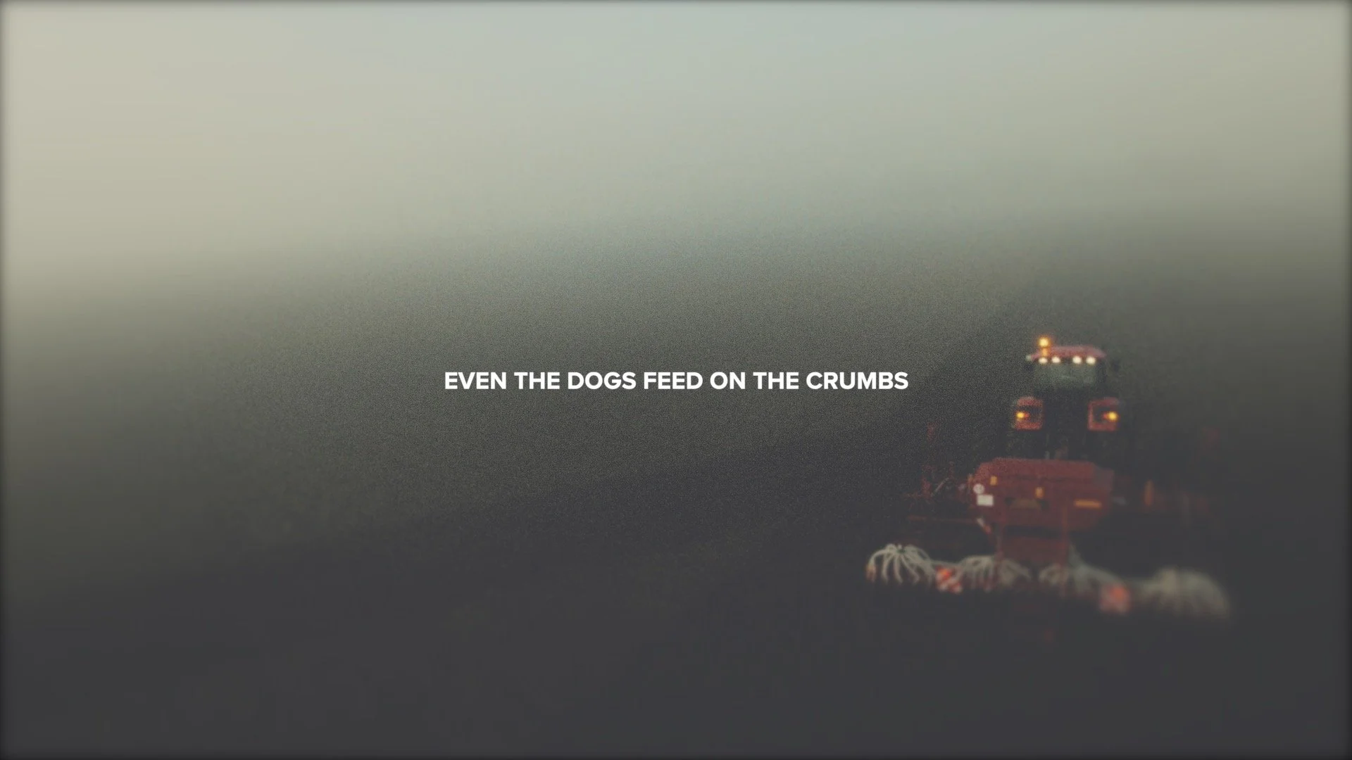 This Is History | As You Wish.jpg