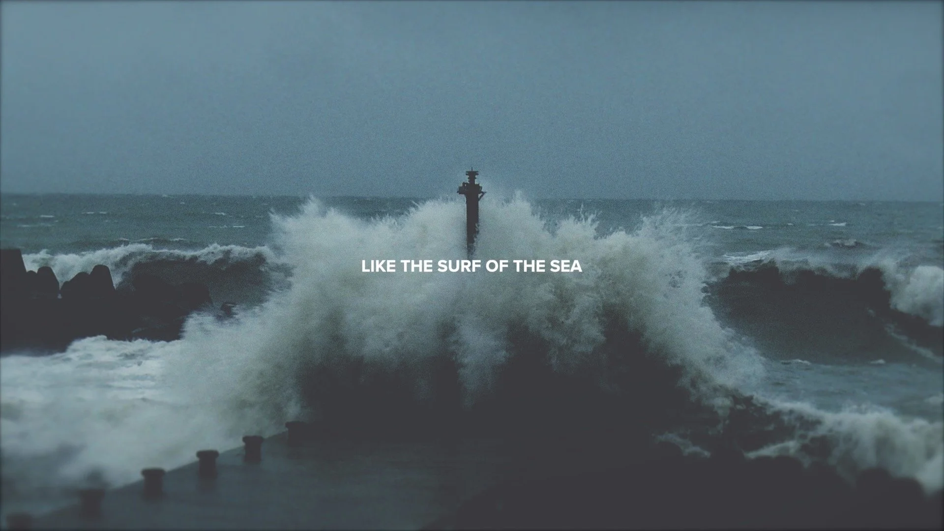 This Is History | Without Waver.jpg