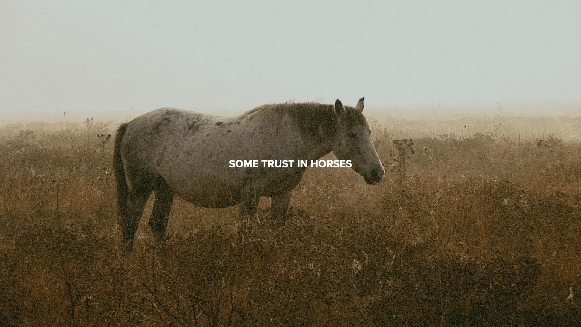 This Is History | Some.jpg