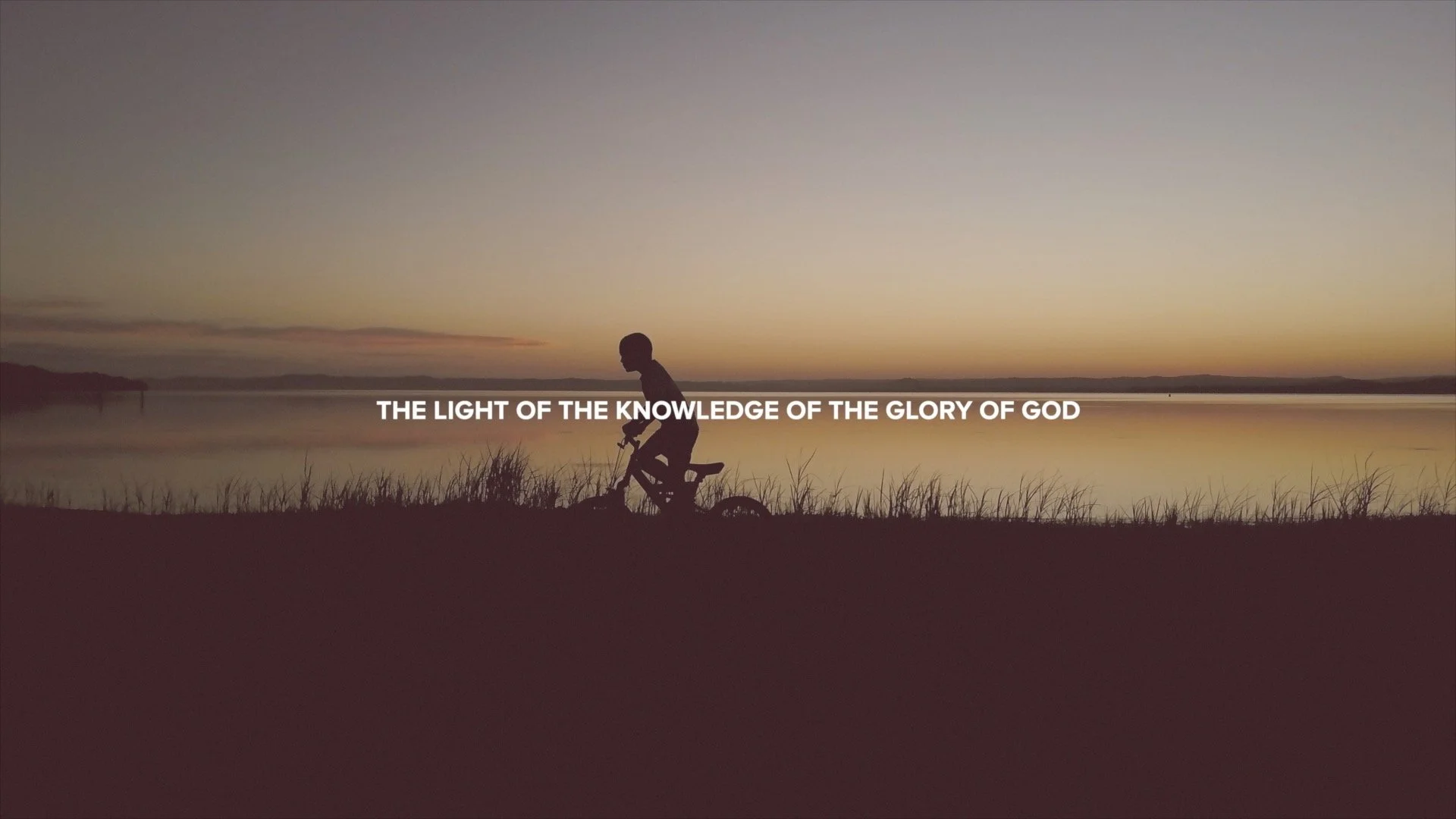 This Is History | Veiled.jpg