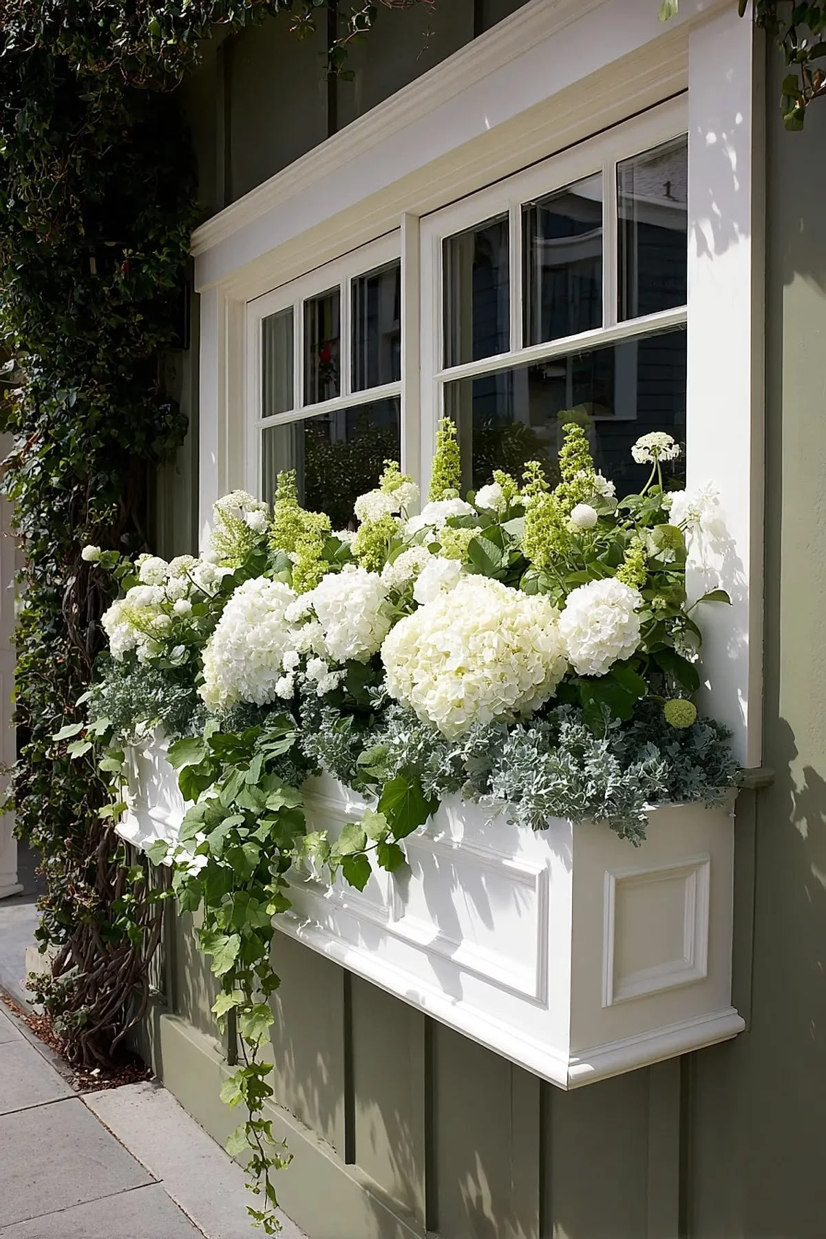 window box 3.jpg