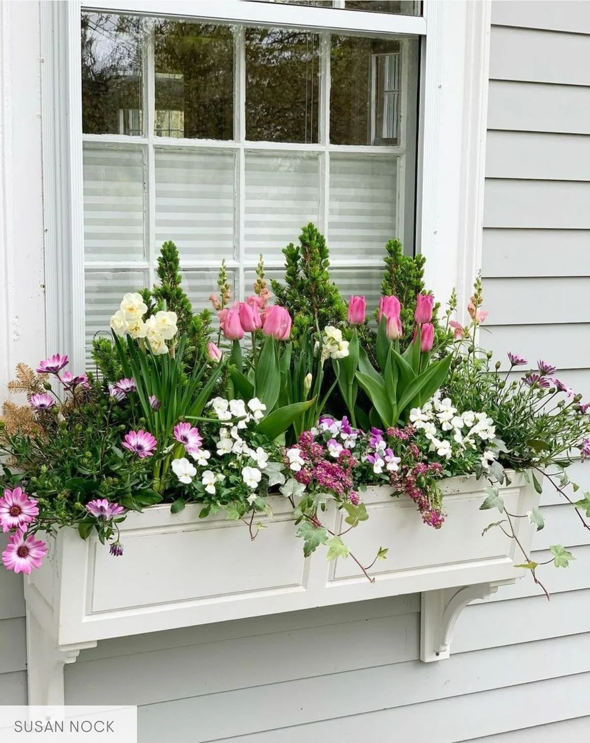 Window Box 1.jpg