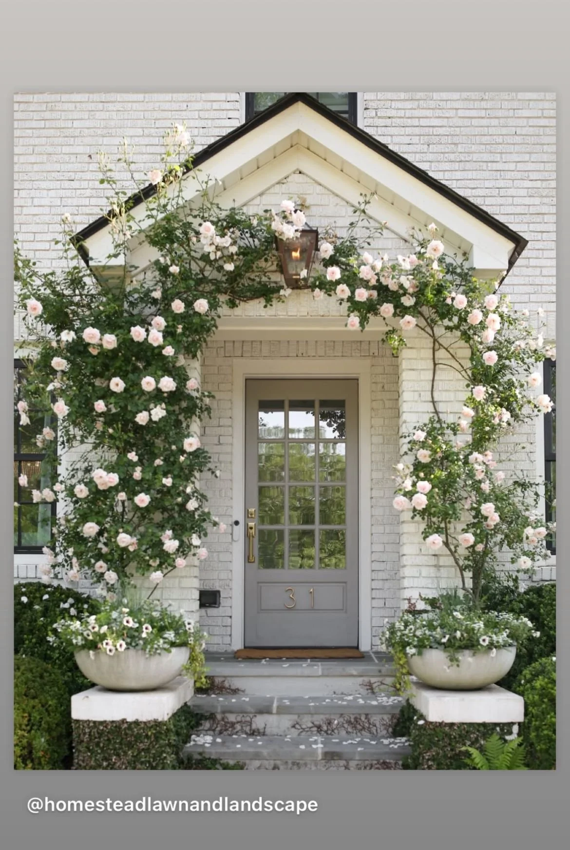 Climbing Vines 2.jpg