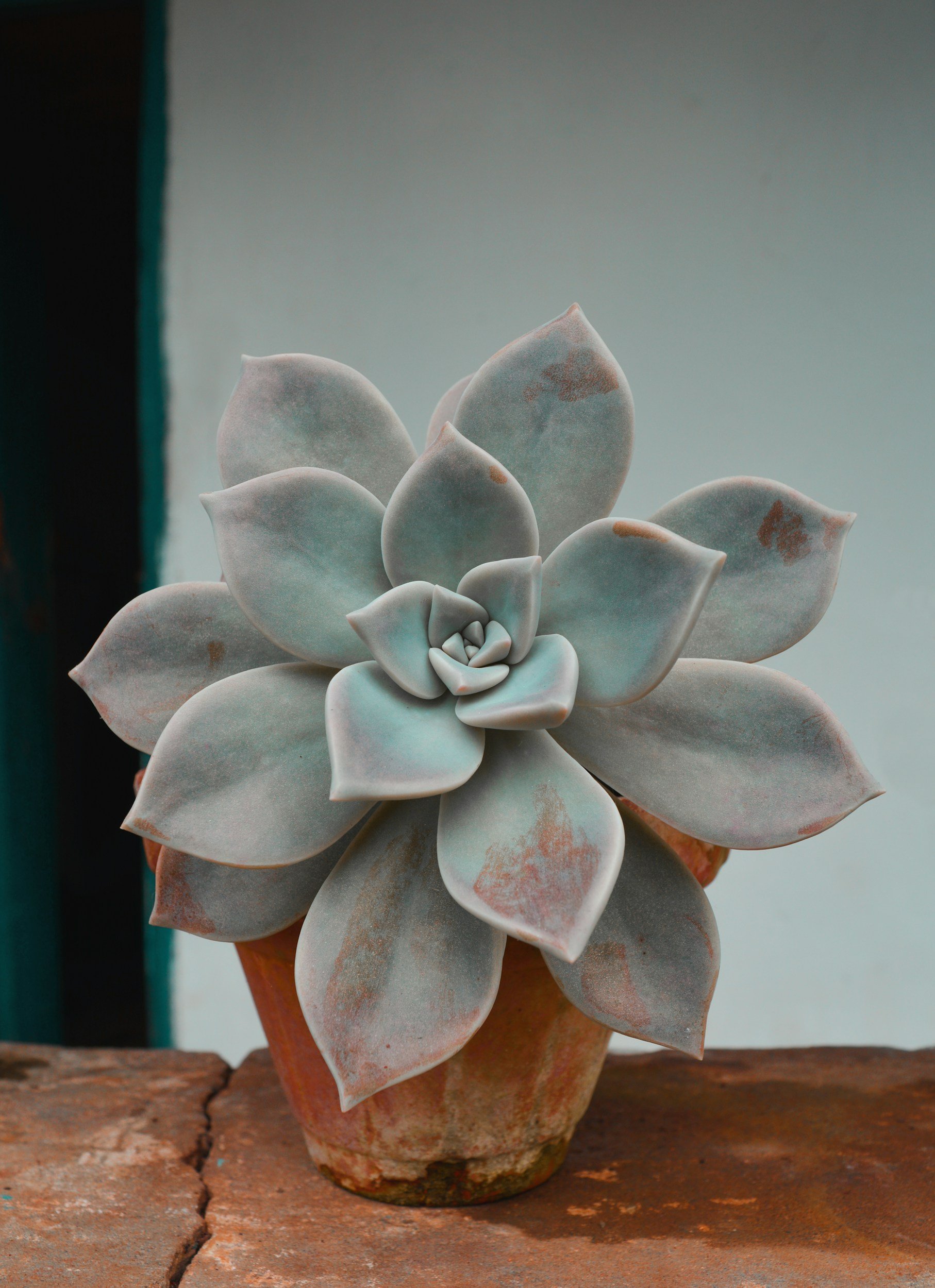 unsplash-image-gsCecg8nrAY.jpg