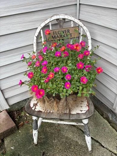 purslane 4.jpg