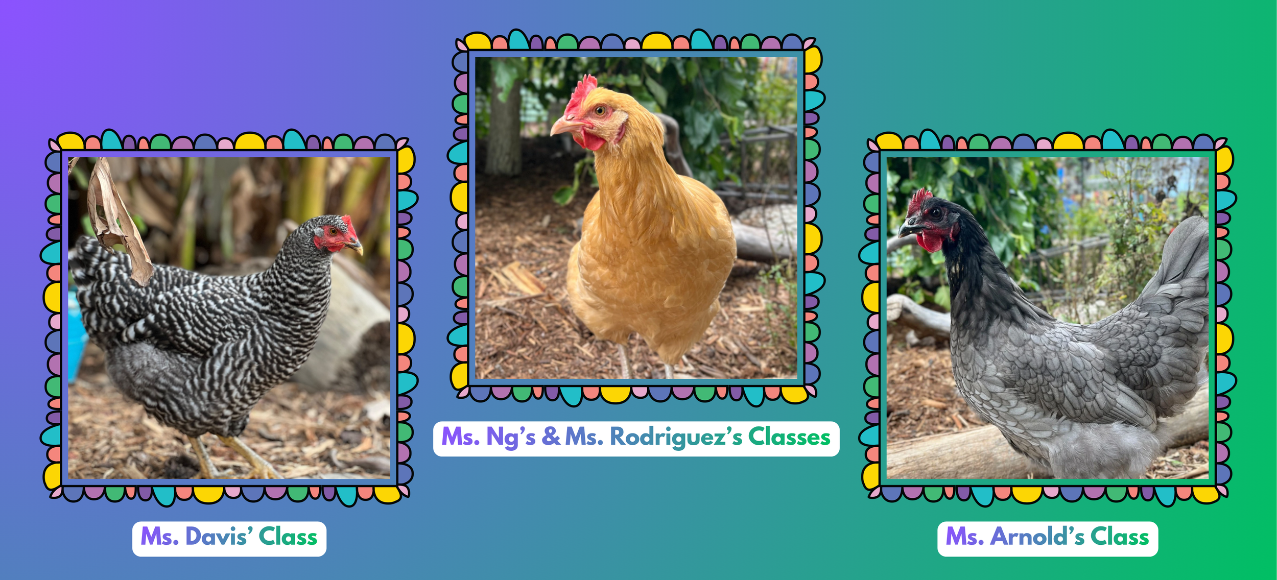 Winner Winner, Chicken Namers!