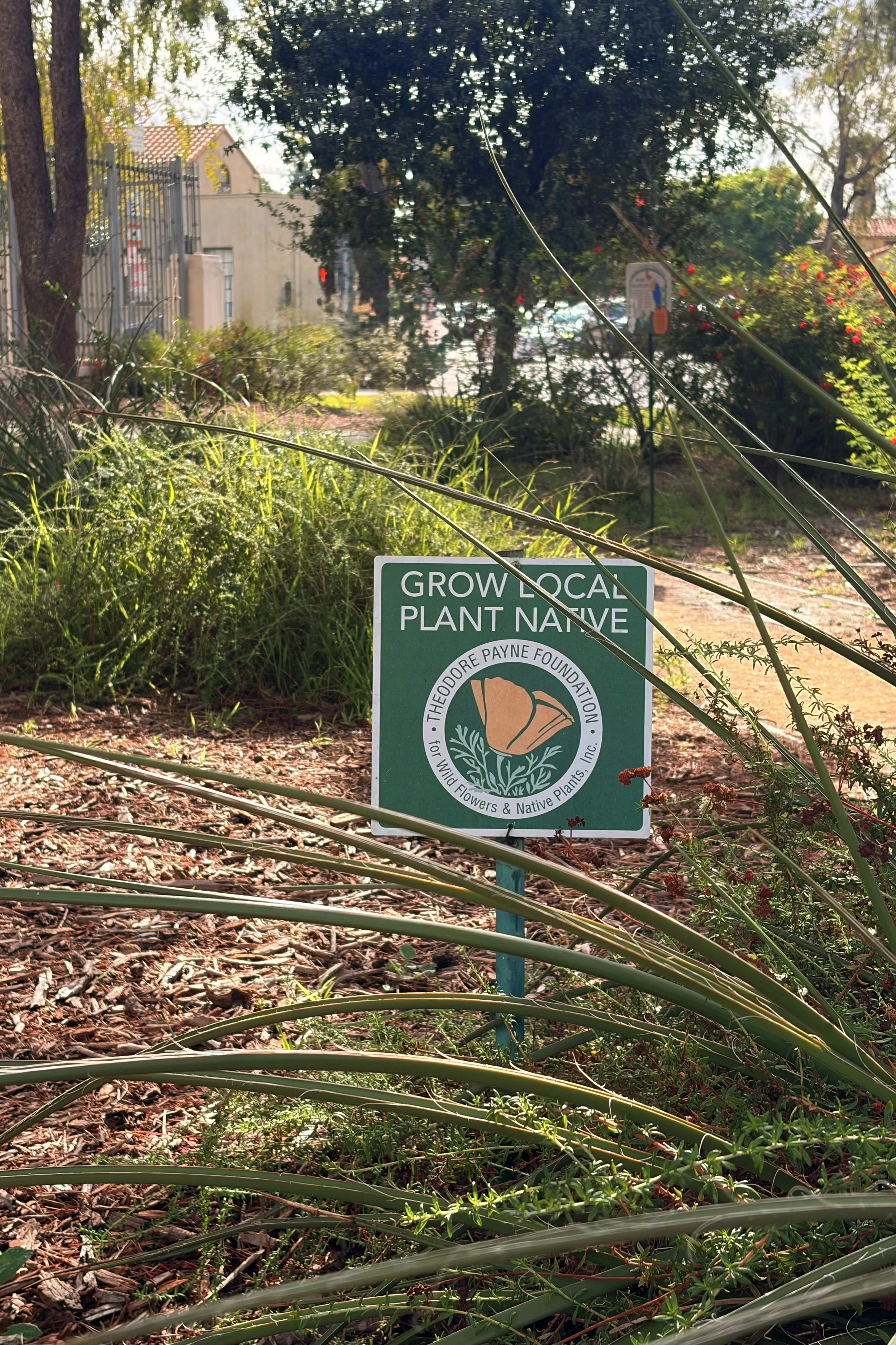 Carthay Community Garden Day