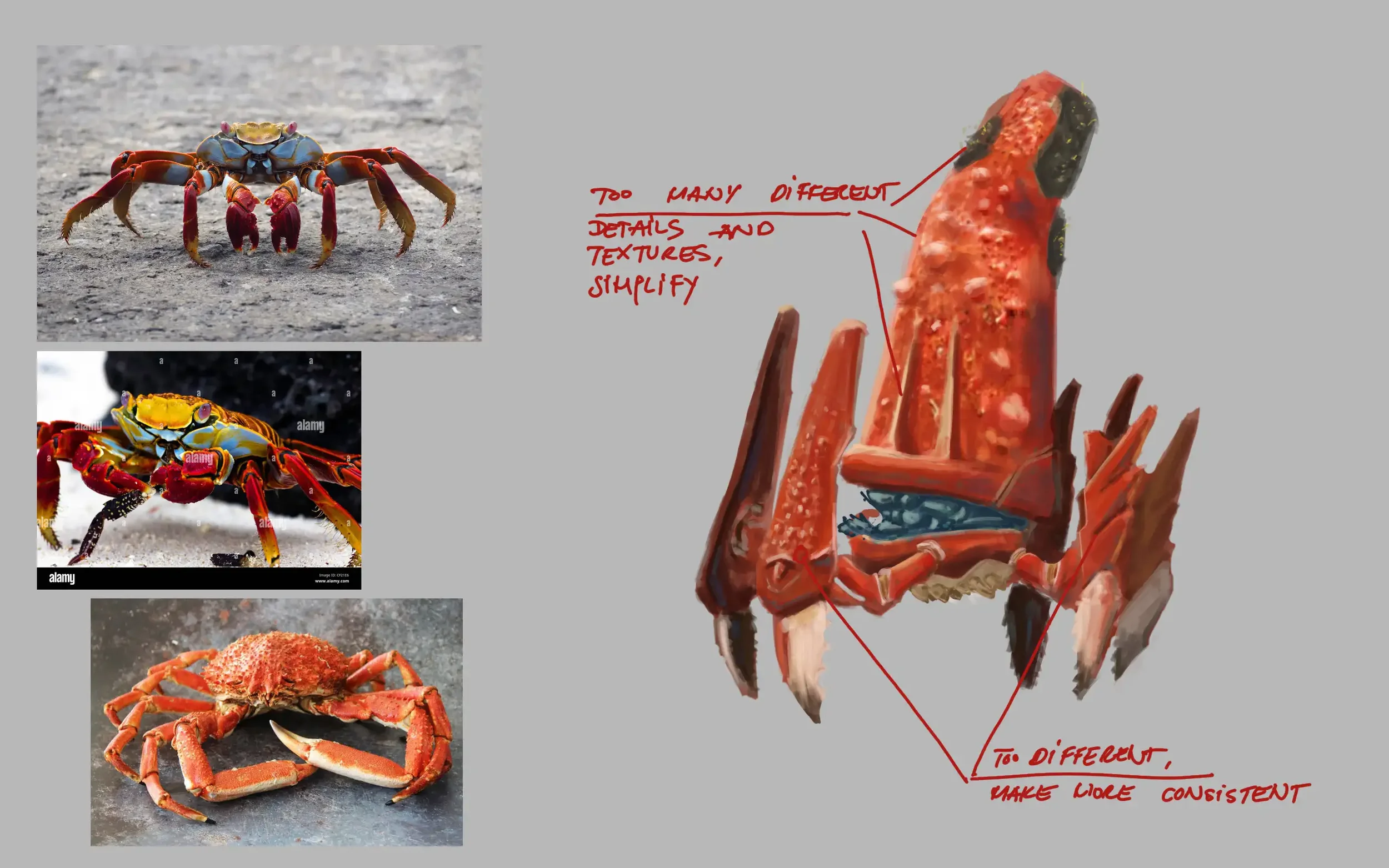250212_ETJ_Crab.webp