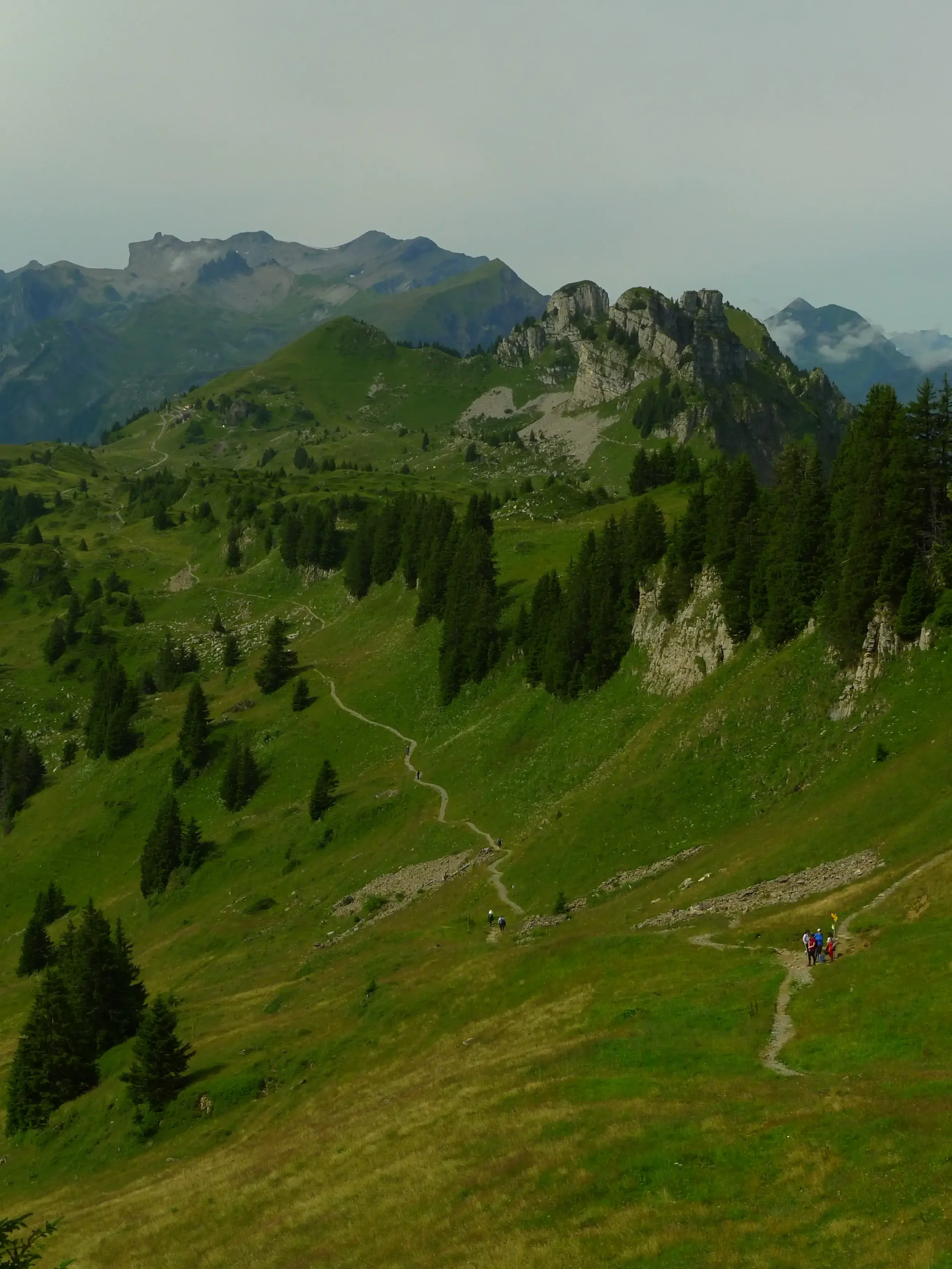 Grüne Hügel mit Wanderern und einem unbefestigten Wanderweg, umgeben von Bäumen, mit Bergen im Hintergrund und bewölktem Himmel.