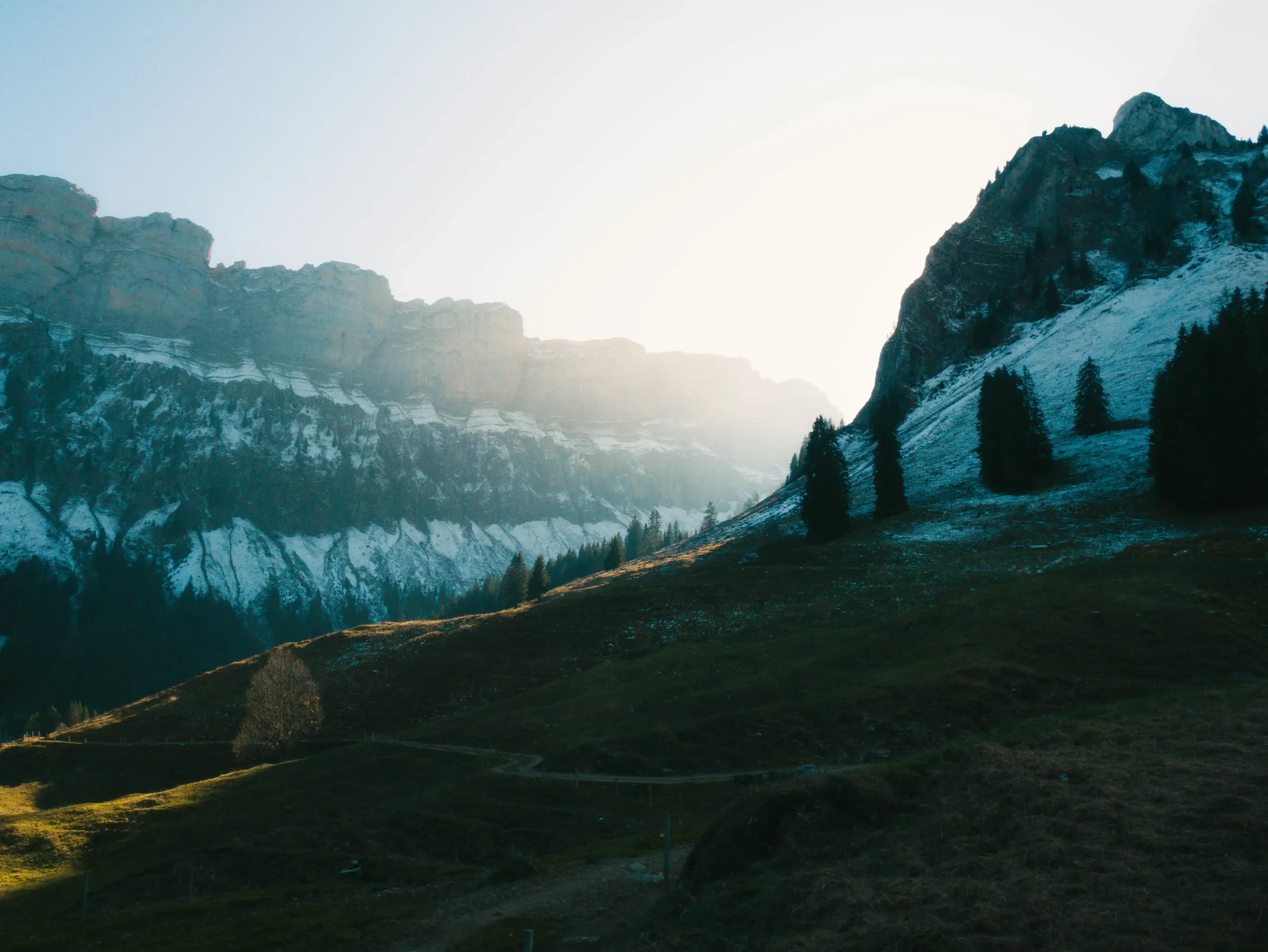 Berglandschaft mit schneebedeckten Bergen, Nadelbäumen und Wiese bei Sonnenaufgang.